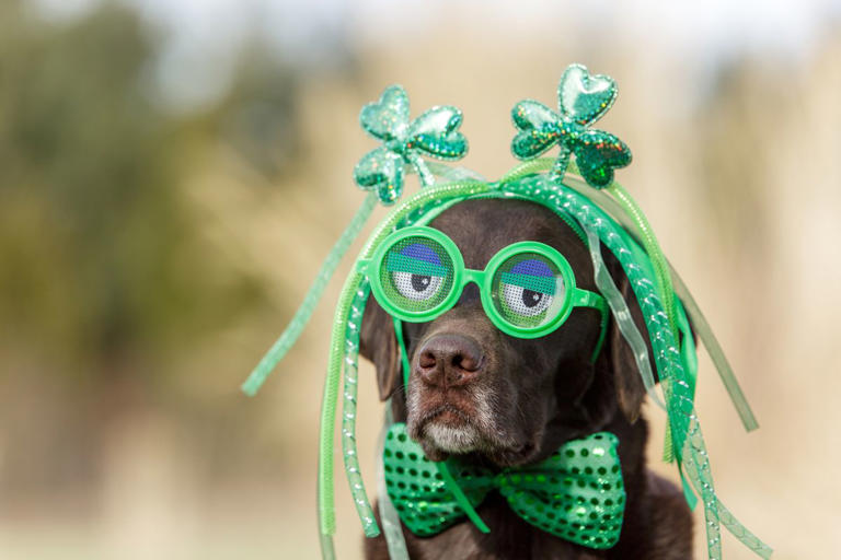 st patricks day online read alouds