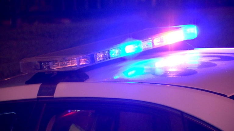 Sevierville Bear Attack: Man'S Self Defense Claim Under Investigation - j3hhatw