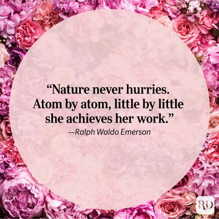 63-of-the-most-beautiful-quotes-about-nature