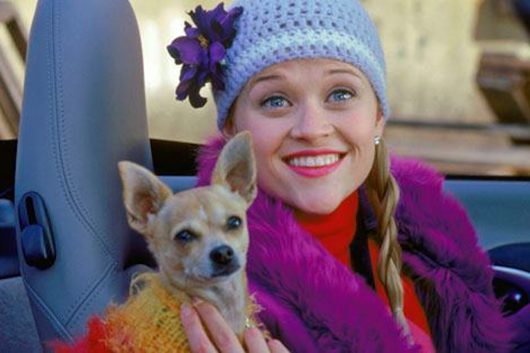 <p>It's hard not to picture Reese Witherspoon when you hear the title <a href="https://www.imdb.com/title/tt0250494/?ref_=nv_sr_srsg_0" title="https://www.imdb.com/title/tt0250494/?ref_=nv_sr_srsg_0"><em>Legally Blonde</em></a><em>, </em>but the <a href="https://www.goodreads.com/book/show/386142.Legally_Blonde?ac=1&from_search=true&qid=8kT8FssRc1&rank=1" rel="noreferrer noopener">plot appeared first as a book</a> based on<a href="https://www.insider.com/legally-blonde-facts-2019-1" title="https://www.insider.com/legally-blonde-facts-2019-1"> a true story</a> by Amanda Brown. Many of the books reviews are from readers who revisited the story because they loved the movie. In the book, Elle goes to <a href="https://www.refinery29.com/en-us/2016/12/133903/legally-blonde-book-elle-woods-harvard" title="https://www.refinery29.com/en-us/2016/12/133903/legally-blonde-book-elle-woods-harvard">Stanford, not Harvard</a>, and her character is a <a href="https://www.cracked.com/article_29598_elle-woods-terrible-person-in-novel-legally-blonde-was-based-on.html" title="https://www.cracked.com/article_29598_elle-woods-terrible-person-in-novel-legally-blonde-was-based-on.html">lot less likable</a>, which could be part of the reason why fans tend to flock to the viewing rather than the reading experience for this one.</p>