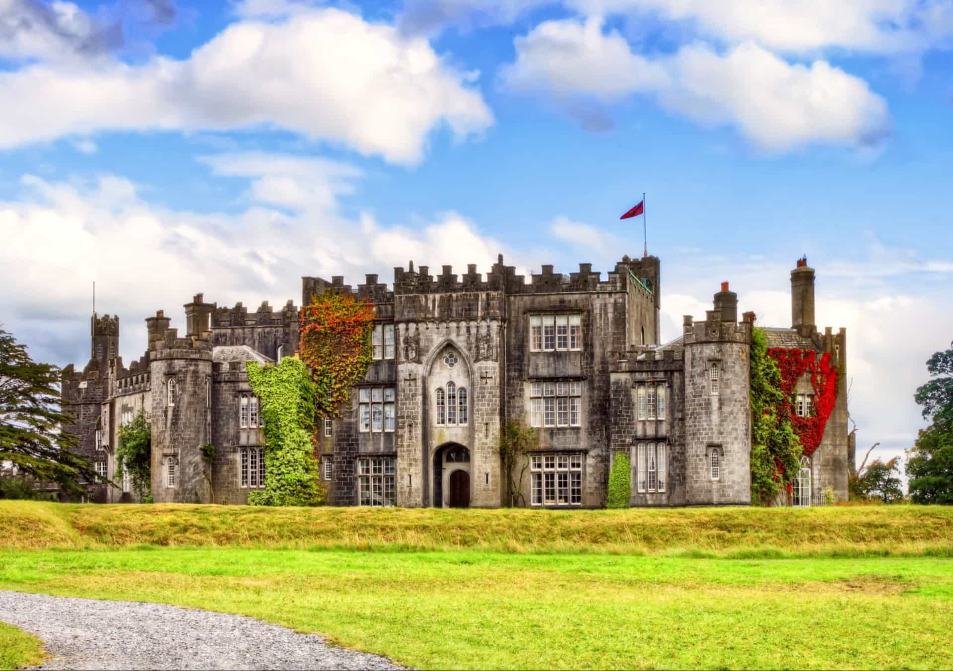 <p>Birr is another designated Irish heritage town with a carefully-preserved Georgian architectural signature. Its principal tourist draw is Birr castle, the residential areas of which are not open to the public, though the grounds and gardens are.</p>