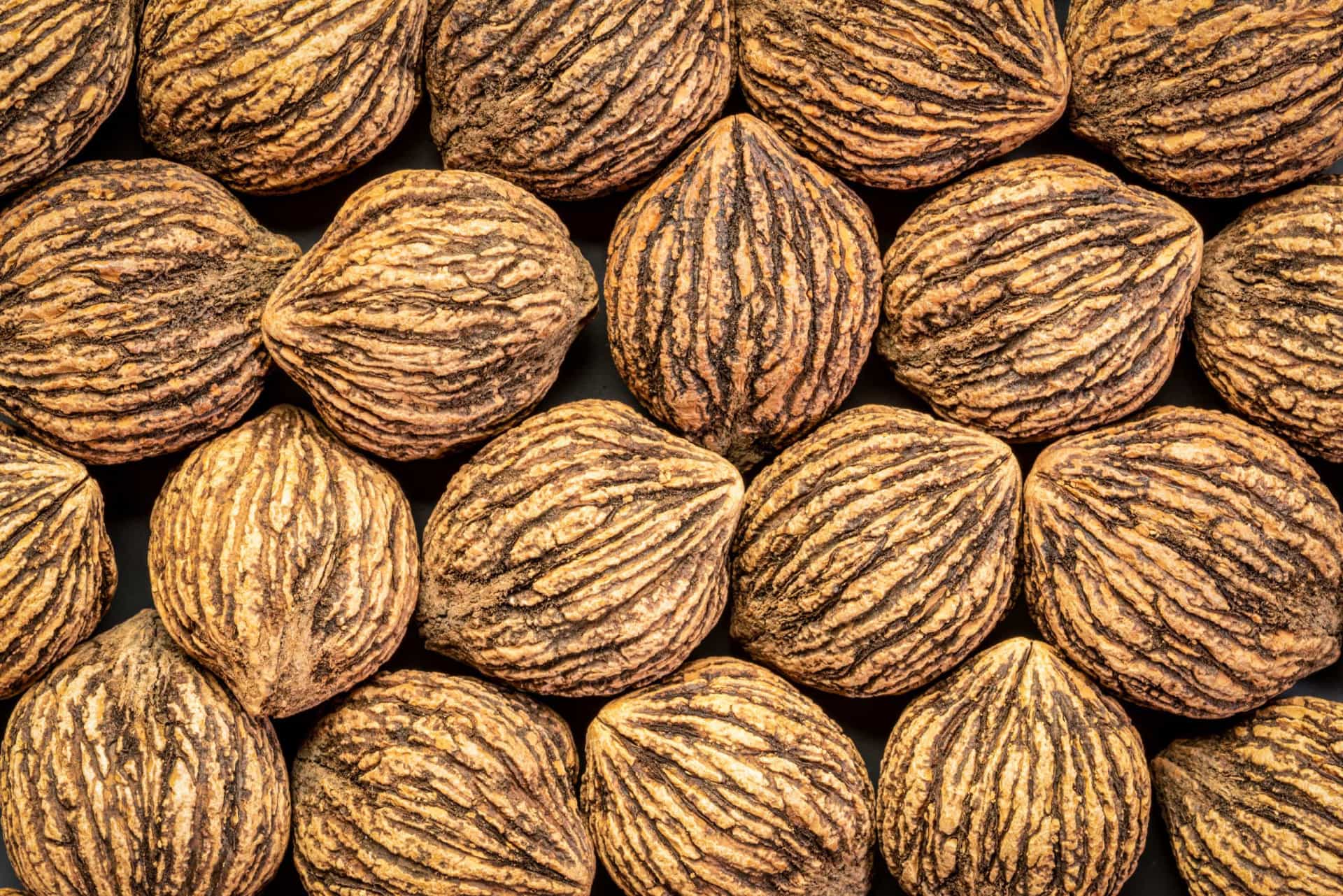 Foods that are poisonous to dogs