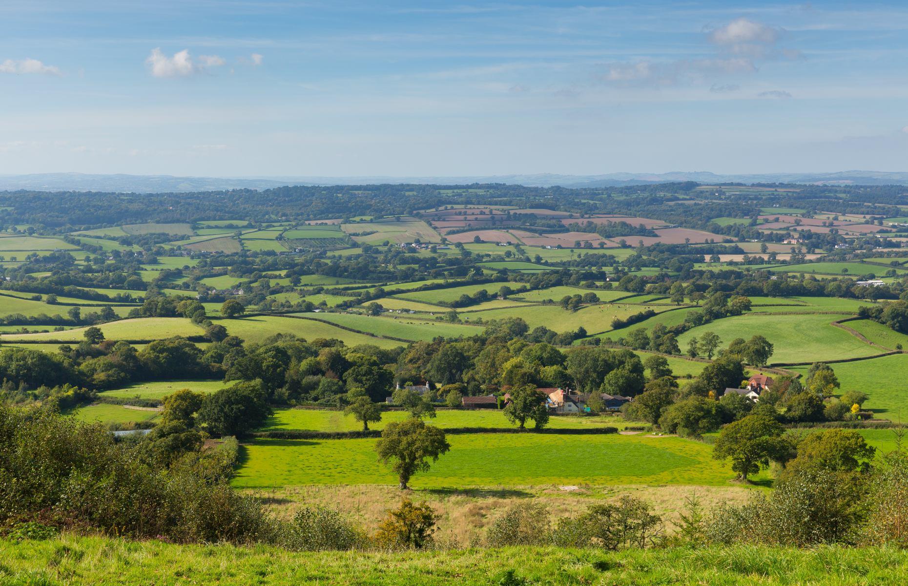 The downs england. Блэкдаун Хилс. Hills near the Town. East Devon area of outstanding natural.