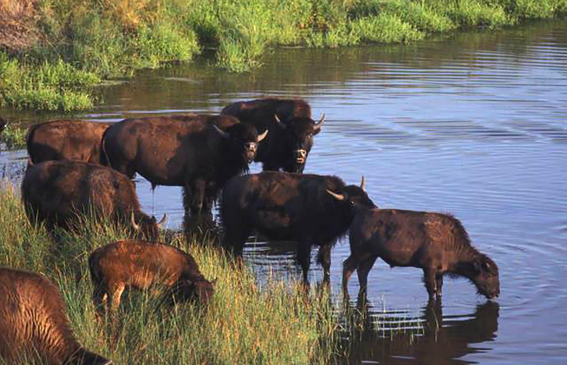 We've Found Your State’s Best National Parks