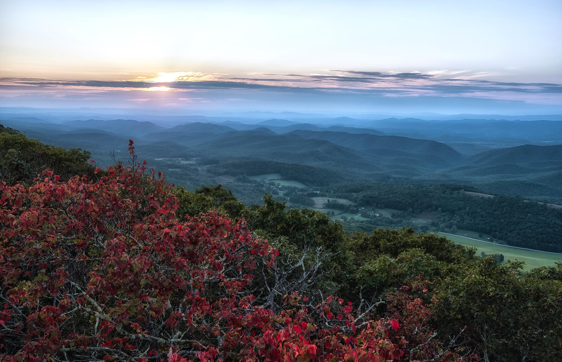 We've Found The Best Place To Spot Wildlife In Your State