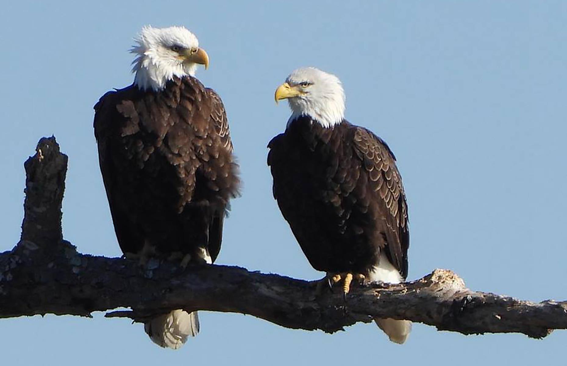 We've Found Your State’s Best National Parks