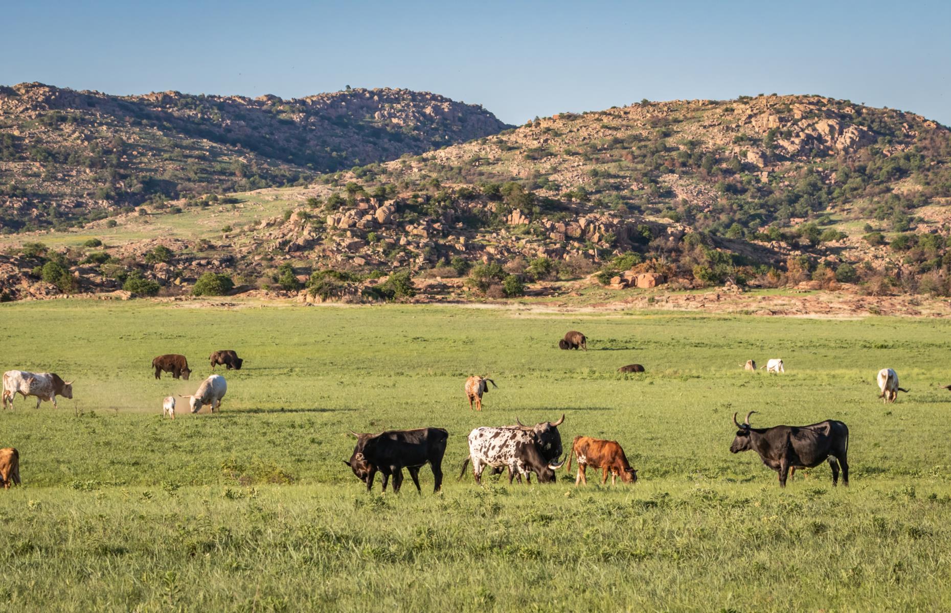 We've Found The Best Place To Spot Wildlife In Your State