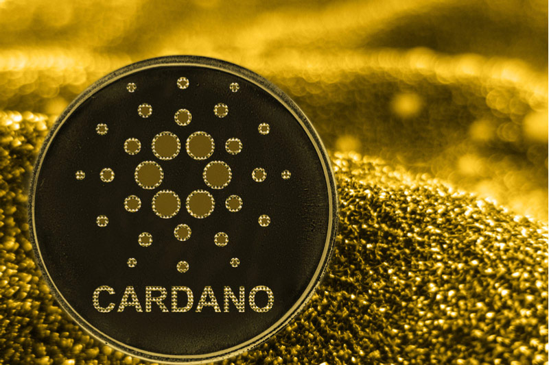 cardano vakfı ceo'su blockchain ağı için yeni bir döneme işaret etti