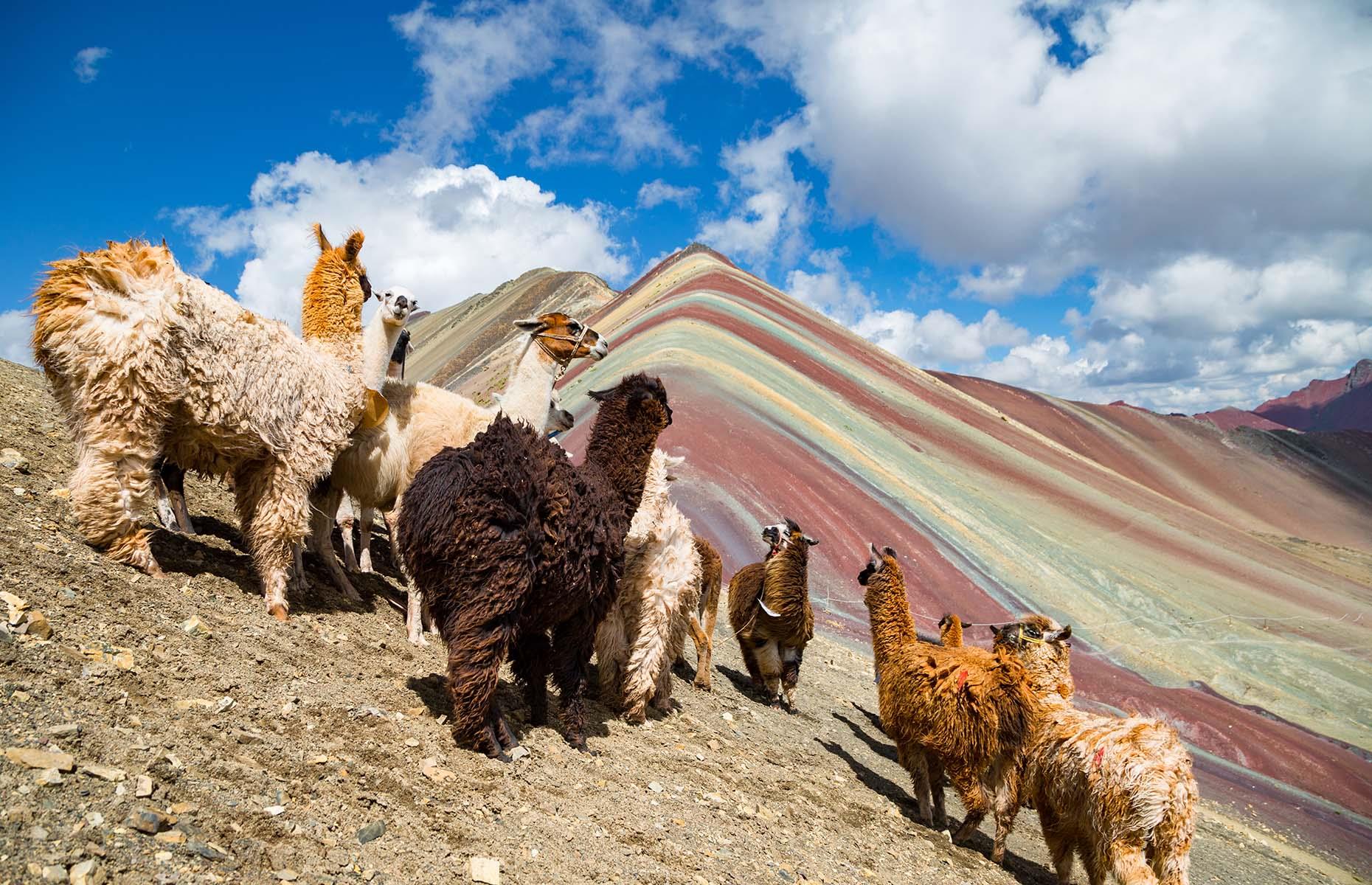 <p>You’ll see a number of South American icons on your way up: look out for llamas and alpacas roaming free. When you reach the summit, you’ll want to take endless selfies with the burst of color behind you. But look up from your screen to see other mountains in the Vilcanota range, as well as a high-altitude glacier known as Cusco Ausangate. </p>  <p><a href="https://www.loveexploring.com/gallerylist/95883/secrets-of-the-worlds-most-beautiful-mountains"><strong>Now take a look at the world's most beautiful mountains</strong></a></p>