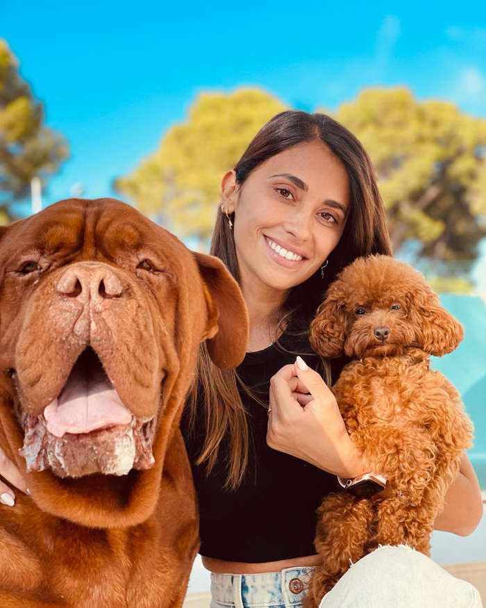 3 de 67 fotos en la galería: Aquí vemos a la esposa de Lionel Messi con su perro muy grande (Hulk) y su perro pequeño (Abu).