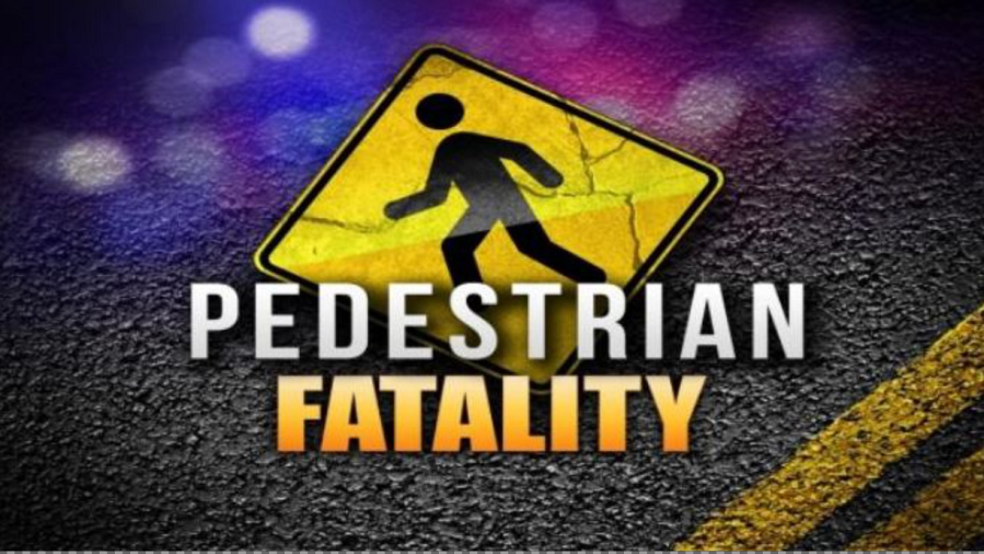 21yearold hit, killed on Mike Padgett Highway