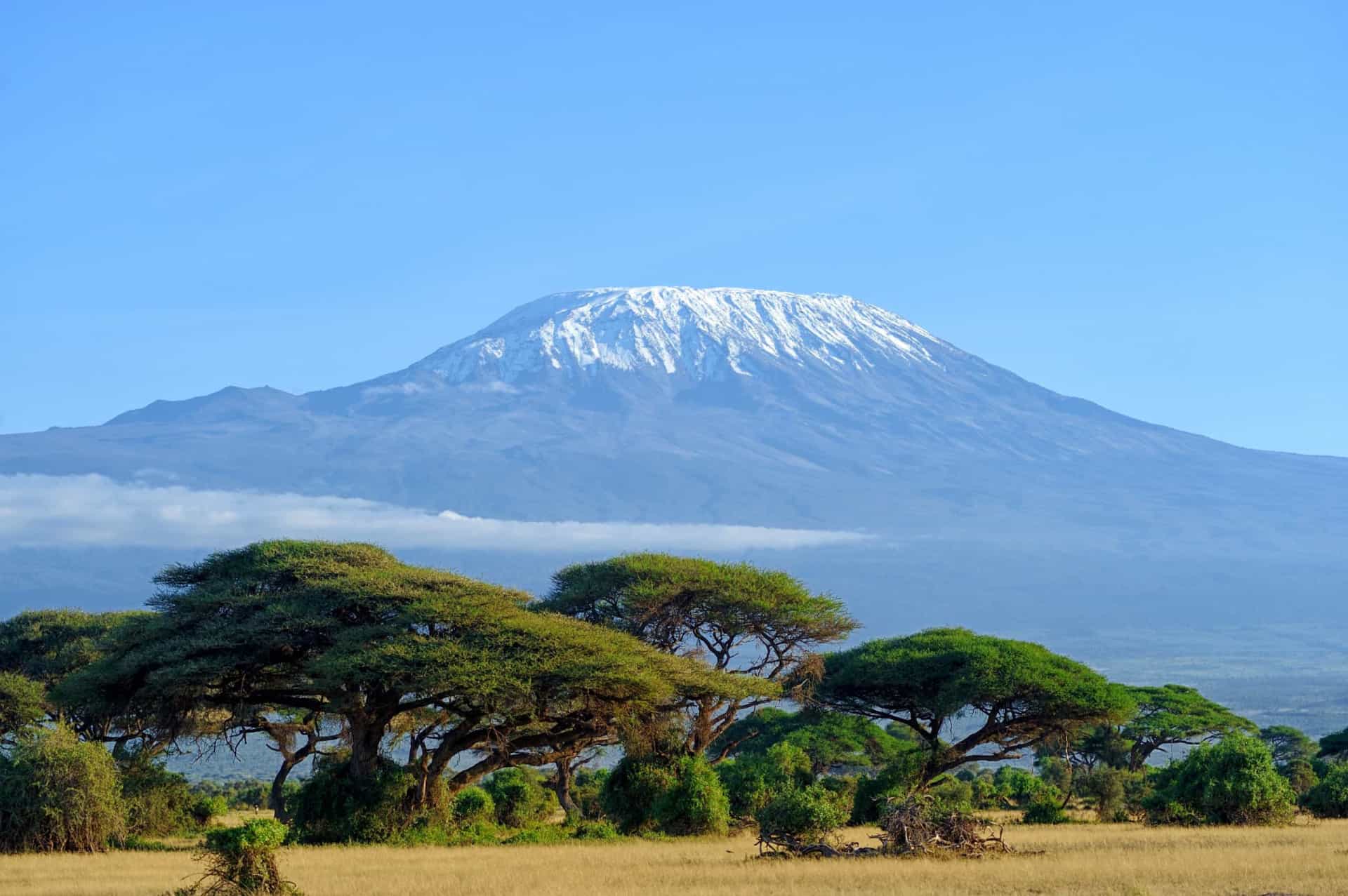 <p>For the adventure-seeking Sagittarius, a climbing expedition on Mount Kilimanjaro will make them feel alive and rejuvenated. A safari trip is also a great option as well.</p>