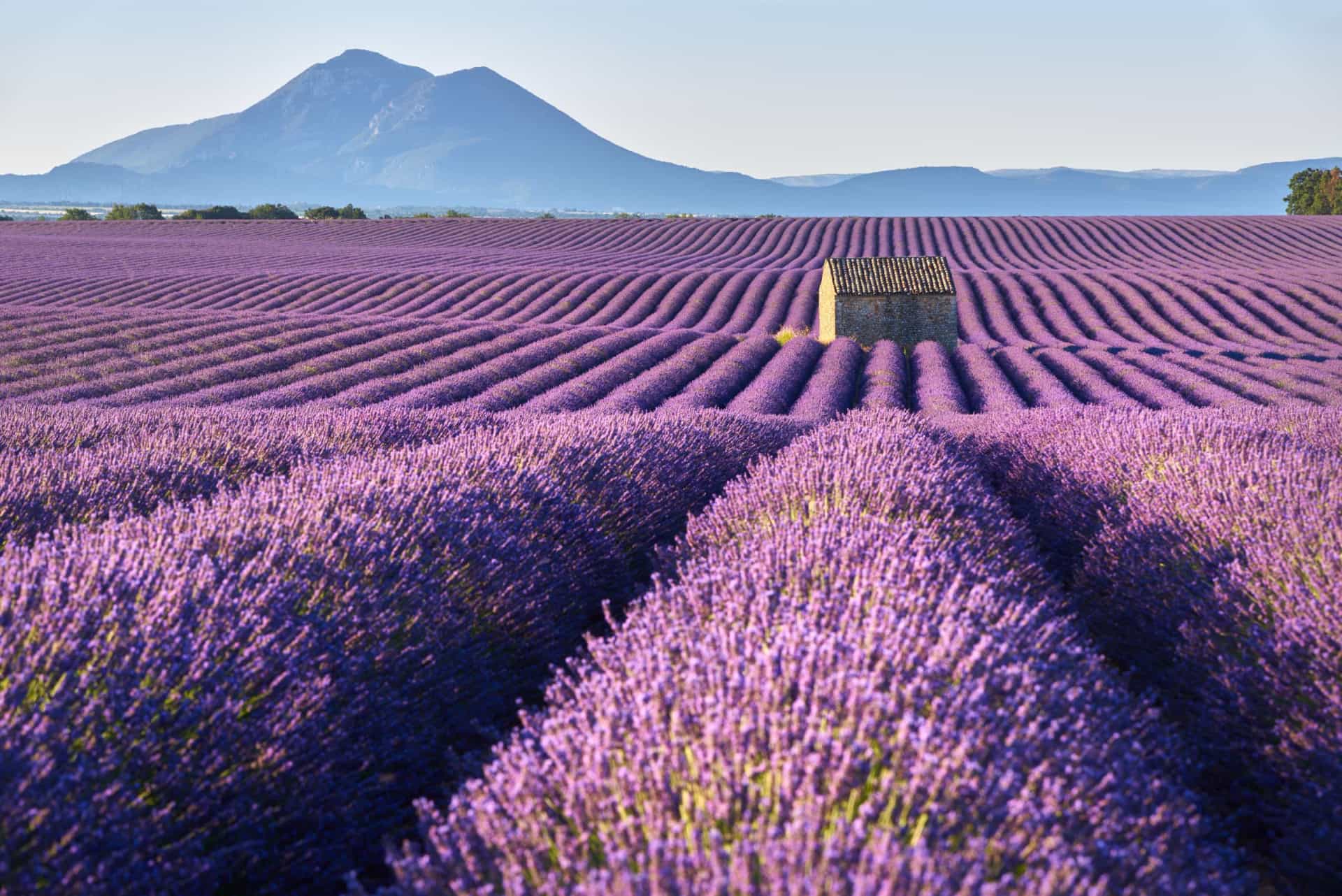 <p>Provence will leave Libras amazed with its breathtaking fields of lavender. It's also a region packed with delicious food and amazing wines, something this sign truly appreciates.</p>