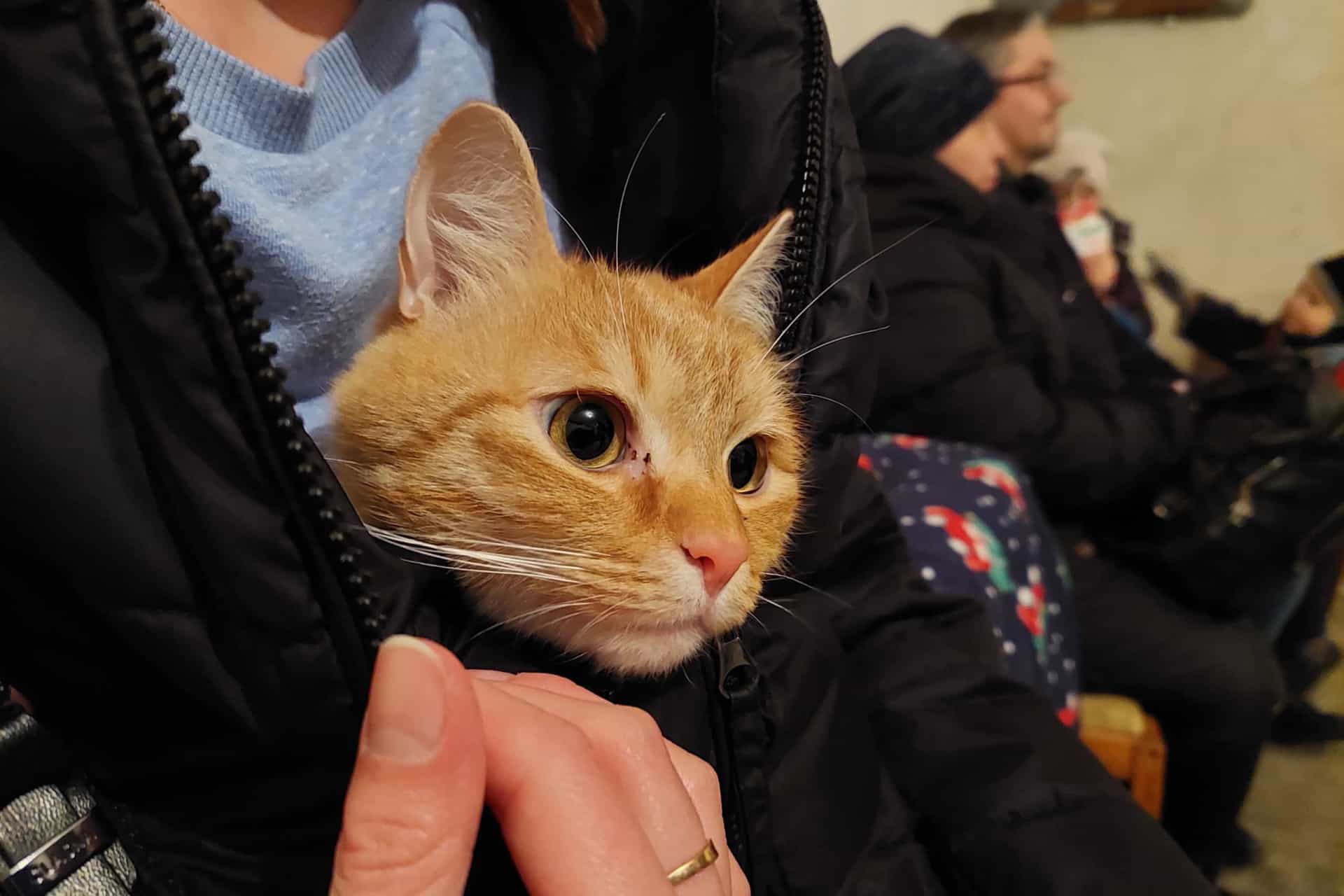 AAUPfMA.img?w=800&h=415&q=60&m=2&f=jpg