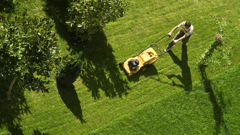 Using lawn mower