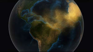 For more information: http://www.nasa.gov/content/goddard/nasa-satellite-reveals-how-much-saharan-dust-feeds-amazon-s-plants

For the first time, a NASA satellite has quantified in three dimensions how much dust makes the trans-Atlantic journey from the Sahara Desert to the Amazon rainforest. Among this dust is phosphorus, an essential nutrient that acts like a fertilizer, which the Amazon depends on in order to flourish. 

The new dust transport estimates were derived from data collected by a lidar instrument on NASA's Cloud-Aerosol Lidar and Infrared Pathfinder Satellite Observation, or CALIPSO, satellite from 2007 though 2013. 

An average of 27.7 million tons of dust per year – enough to fill 104,980 semi trucks – fall to the surface over the Amazon basin. The phosphorus portion, an estimated 22,000 tons per year, is about the same amount as that lost from rain and flooding. The finding is part of a bigger research effort to understand the role of dust and aerosols in the environment and on local and global climate.

This video is public domain and can be downloaded at:
http://svs.gsfc.nasa.gov/cgi-bin/details.cgi?aid=11775
 
Like our videos? Subscribe to NASA's Goddard Shorts HD podcast: 
http://svs.gsfc.nasa.gov/vis/iTunes/f... 
 
Or find NASA Goddard Space Flight Center on Facebook: 
http://www.facebook.com/NASA.GSFC 
 
Or find us on Twitter: 
http://twitter.com/NASAGoddard