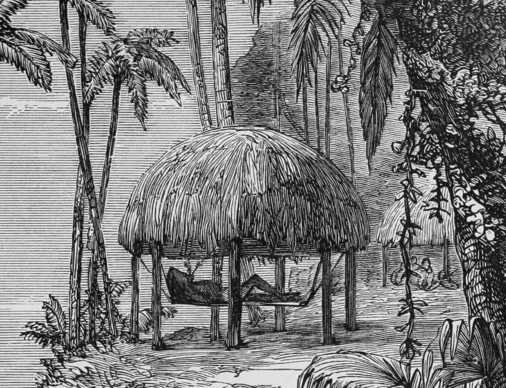 Sway through the history of the hammock
