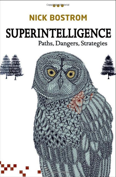 <p>Musk has also recommended several books on artificial intelligence, including this one, which considers questions about the future of intelligent life in a world where machines might become smarter than people.</p><p><strong><a href="https://www.amazon.com/Superintelligence-Dangers-Strategies-Nick-Bostrom/dp/0198739834" rel="nofollow sponsored">Buy it here >></a></strong></p>