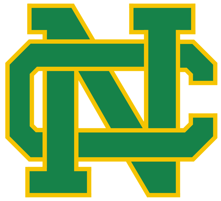 Roundup: Newark Catholic girls basketball finishes first unbeaten ...