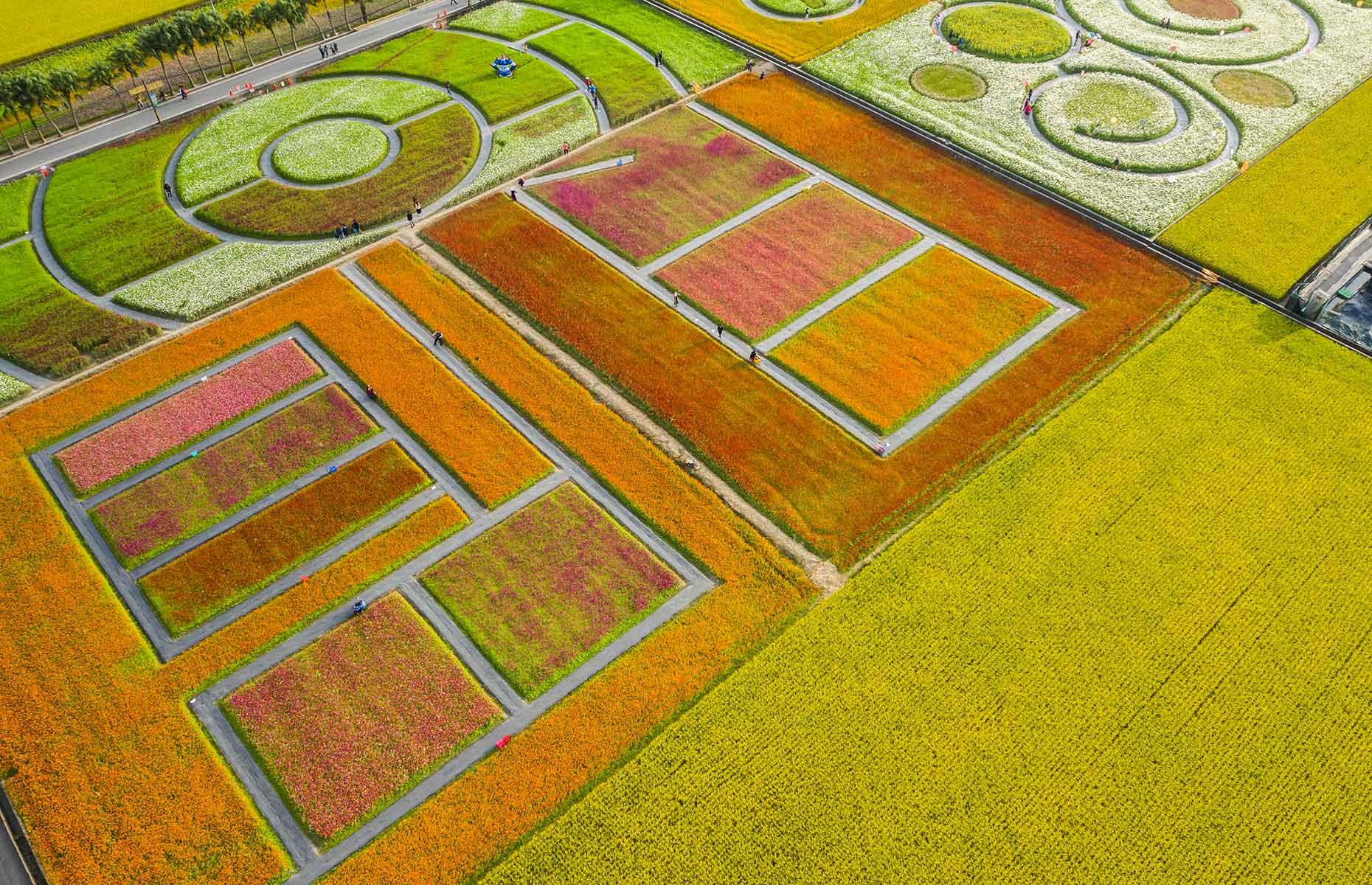 One of the most unforgettable sights in Taiwan is Taoyuan County’s Daxi Flower Ocean Farm Ranch. Spanning some 15 acres, this flower farm is a popular filming spot for Chinese television shows and there are European nods with the likes of a southern European-style restaurant called Van Gogh House. Its five-acre Purple Dream Zone is a daydream of lavender and sage while the Rainbow Flower Field is a kaleidoscope of colors with flowers blossoming through the seasons.
