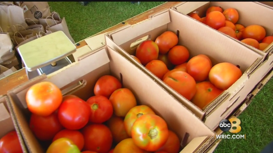 Headed to the Hanover Tomato Festival? Here’s which route is expected