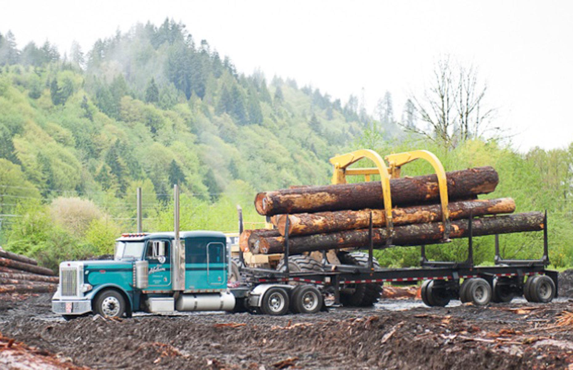 America's 50 Largest Landowners, How Much They Own