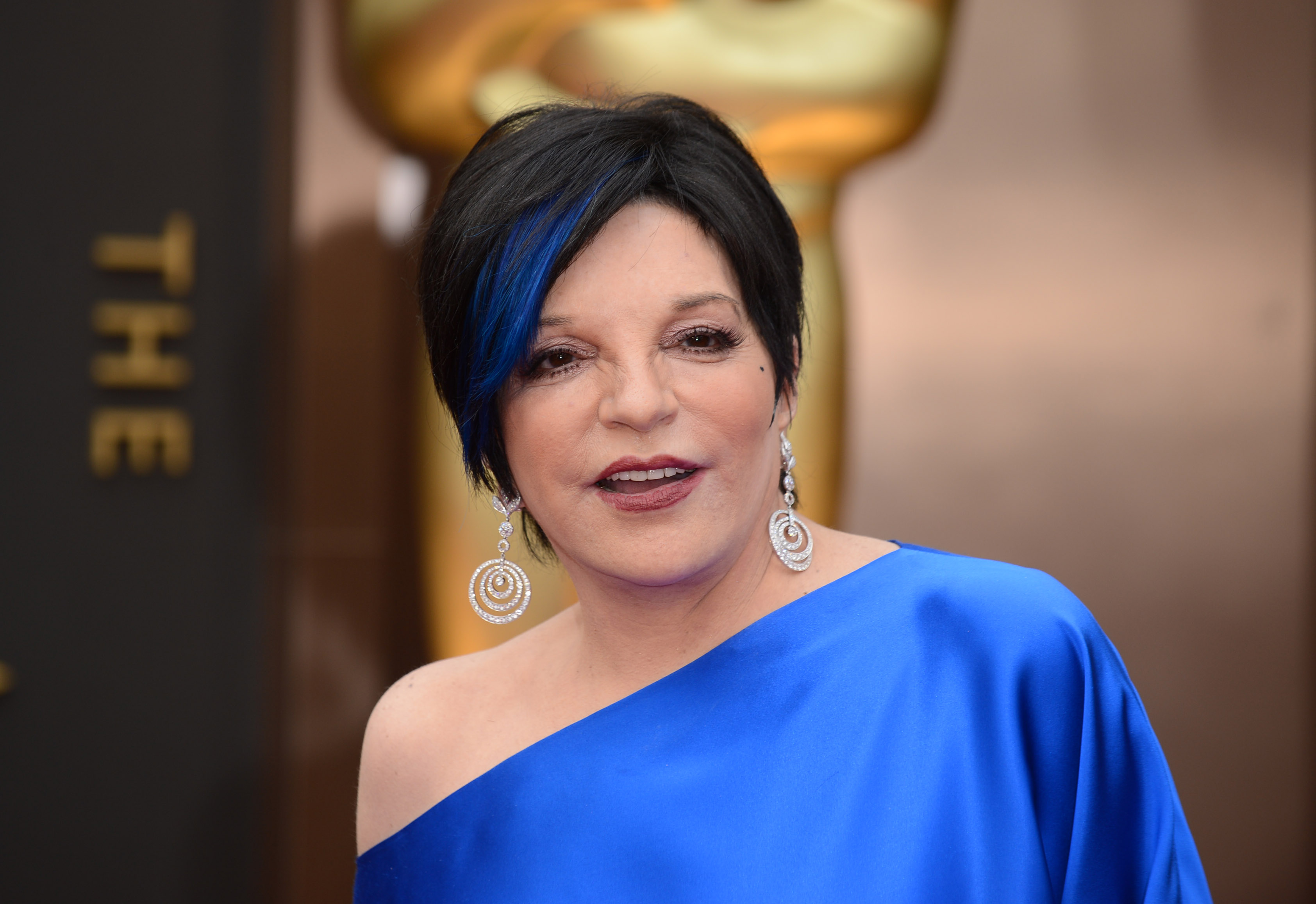 <p>Don't get us wrong, we love Liza Minnelli. But didn't she look a little different during the 2014 Oscars? While the singer-actress has never commented on plastic surgery rumors, it's difficult to believe that her looks could've changed so much over the years without some help.</p>
