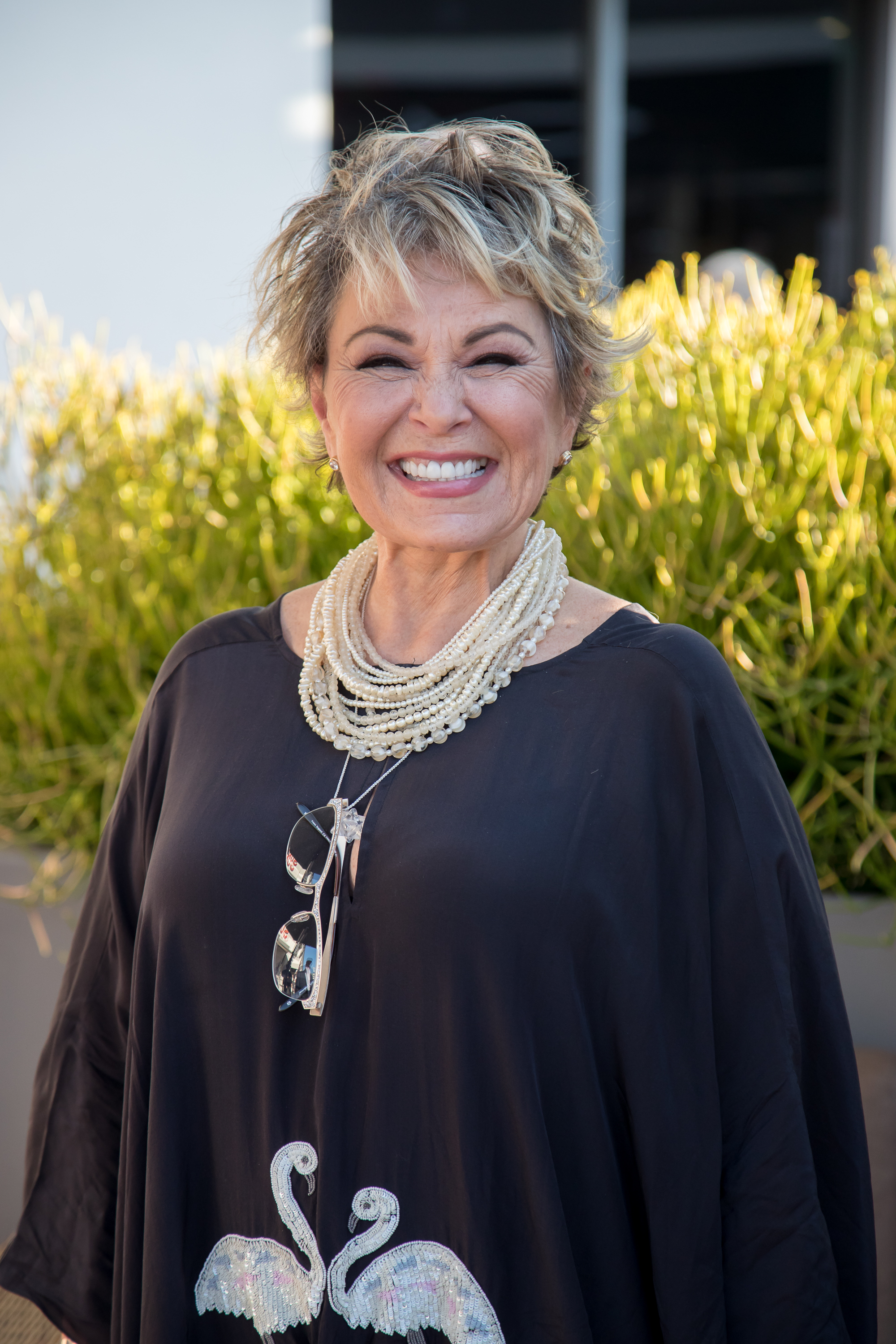<p>Roseanne Barr, who looked great in this shot from mid-2016, has changed up more than her 'do over the years. She's reportedly had her breasts reduced and got a tummy tuck and a nose job.</p>