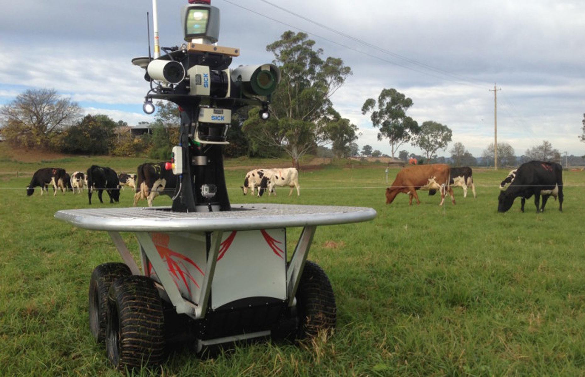 <p>You've probably heard of Babe the sheep-pig – but what about SwagBot the sheep-robot?</p>  <p>In 2016, the Australian Centre for Field Robotics announced that it had developed SwagBot: a shepherd robot that can tend to livestock such as sheep, cattle, and pigs. Packed with smart sensors, the robot is able to corral the animals in its care, analyze the quality of the pasture, and even moonlight as a vet by monitoring the health of its herd. </p>