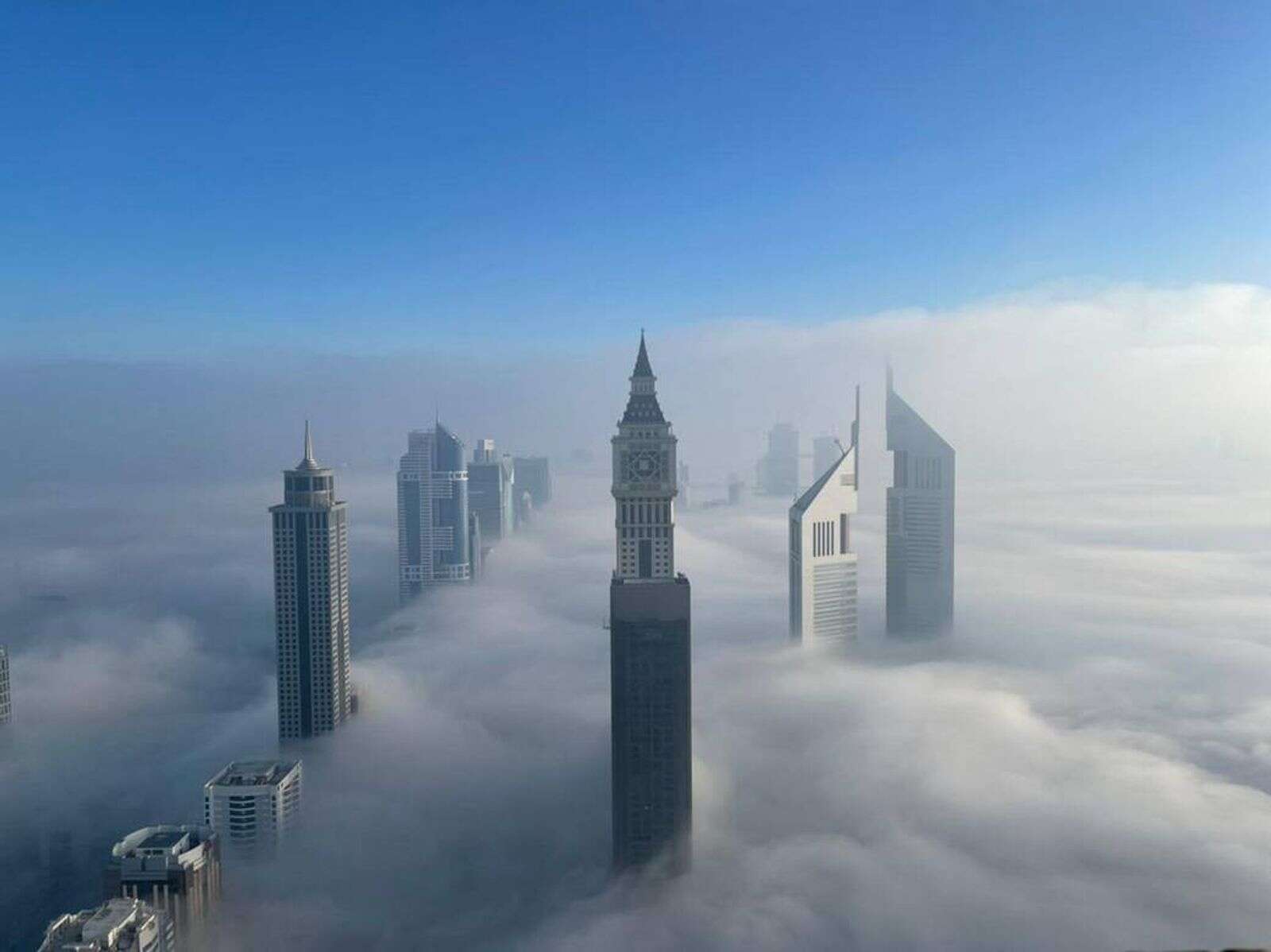 uae weather: red, yellow alerts issued due to fog; temperature to drop to 10ºc in some areas