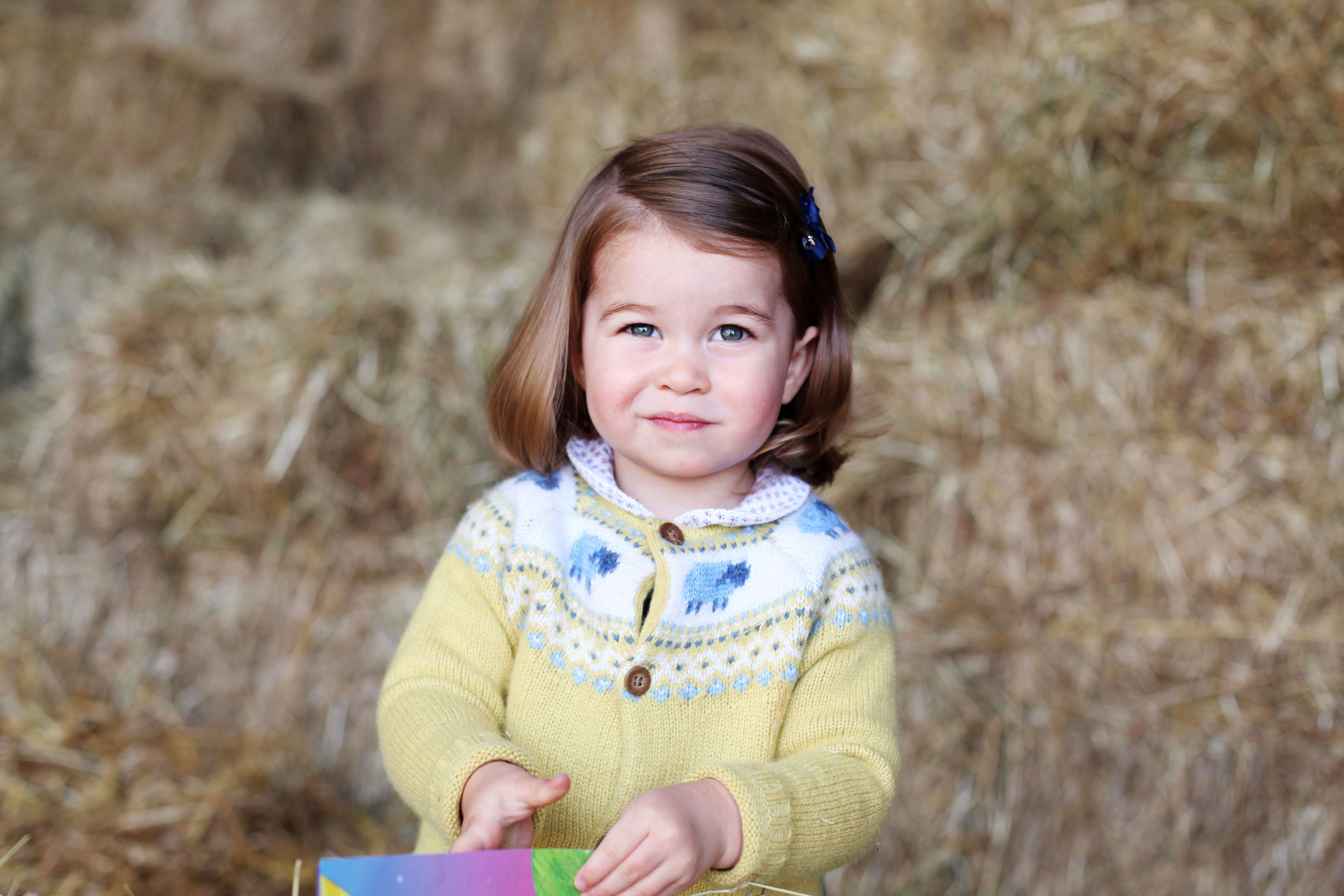 <p>Princess Charlotte looked adorable in this 2nd birthday portrait, which was released on May 2, 2017.</p>