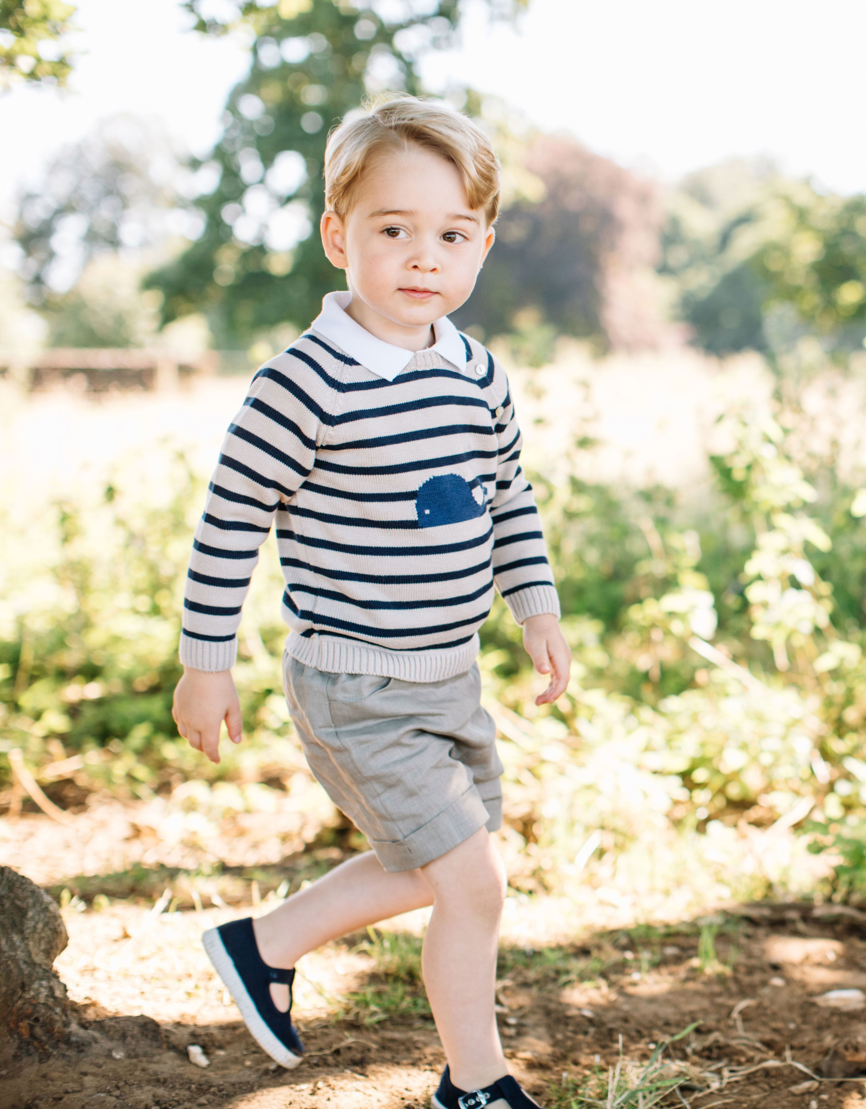 <p>Prince George posed for this photo on his parents' estate in Norfolk, England, in a photo released by <a href="https://www.wonderwall.com/celebrity/profiles/overview/prince-william-482.article">Prince William</a> and <a href="https://www.wonderwall.com/celebrity/profiles/overview/duchess-kate-1356.article">Duchess Kate</a> on July 22, 2016, to celebrate his 3rd birthday.</p>