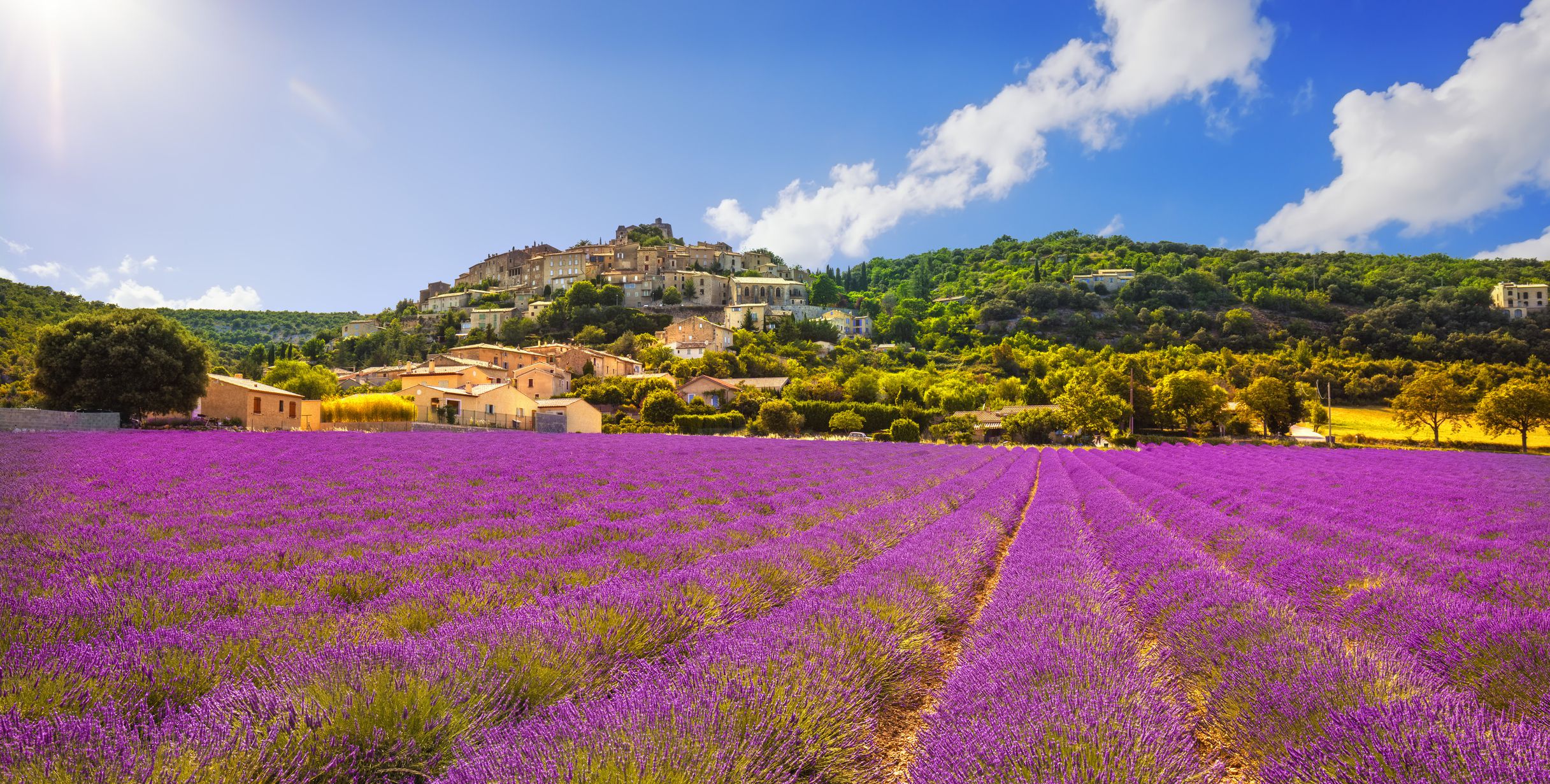 <p>Fairytale chateaus, rolling hills covered in lavender, beautiful mountain views, and one of the best cuisines on the planet…Provence is the perfect location for a small destination wedding. With a lovely Mediterranean climate to boot, you can plan a truly special, intimate affair in the south of France.</p><h3>What to do in Provence</h3><p>If you have time, a visit to the magnificent walled city of Avignon is one of the best things to do while in Provence. Home to popes for centuries during medieval conflicts, the Pope’s Palace is a fascinating experience for history lovers and architecture fans alike.</p><h3>Where to eat in Provence</h3><p>Provence is one of the food capitals of the world, so almost anywhere you head you’ll find amazing cuisine and fantastic eateries. However, it would be foolish not to try two amazing Provencal ingredients, saffron, and truffles, and probably the best spot to do so is at L'Oustalet, a romantic one-room dining room in the hillside wine village of Gigondas, described by those in the know as the best restaurant in the region. </p>