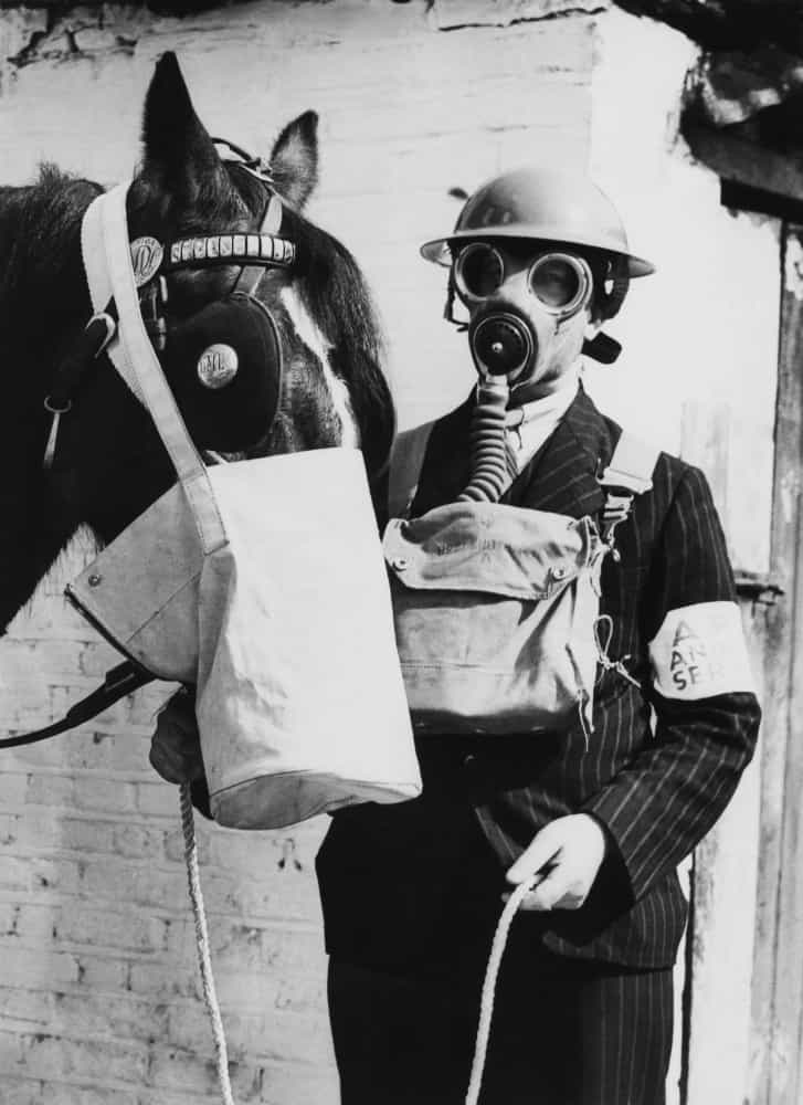 Horse gas mask