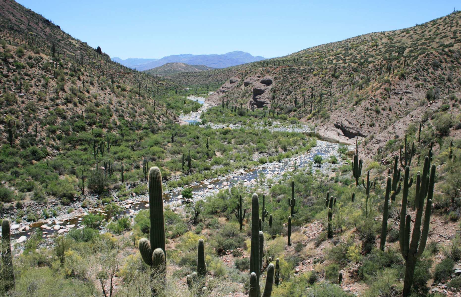 <p>Hankering after crystal clear waters and cactus-studded valleys? Salome Creek, tucked within central Arizona’s Sierra Ancha Mountains, is just the ticket. The lower part of the canyon is home to a mile-long (1.6km) stretch of water known as The Jug, which you can part-swim, part-wade through, during a stunning <a href="https://www.summitpost.org/salome-canyon-the-jug/361867">five-mile (8km) circular hike</a>. It’s best to join a guided tour to visit unless you’re experienced at scaling canyons, as there’s a 50-foot (15m) waterfall at the end which you must abseil down. </p>
