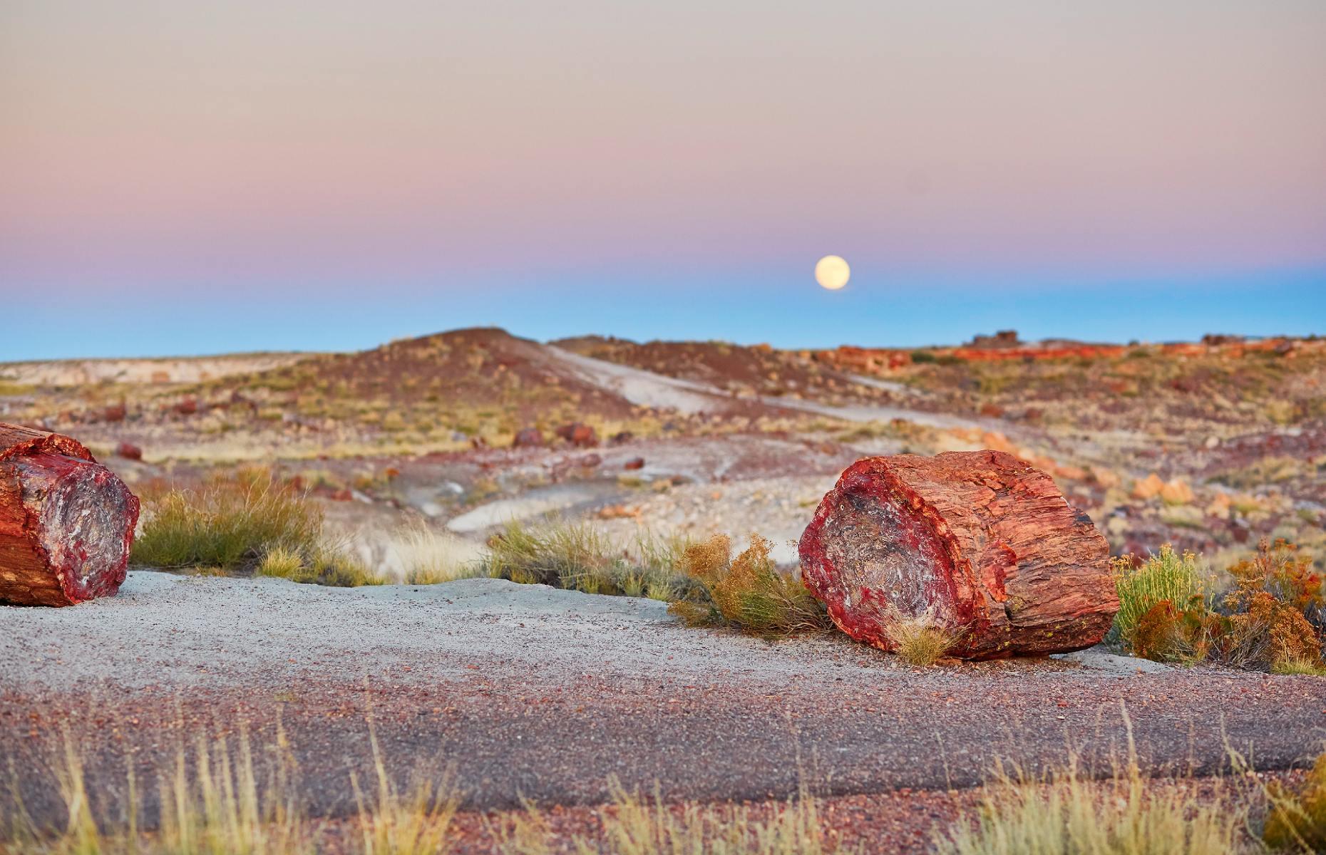 <p>Filled with a kaleidoscopic array of natural colors, the Petrified Forest looks almost too pretty to be real. The National Park, which stretches across miles of Interstate 40 in the north of the state, is best known for two incredible natural features. In the north, you’ll find the Painted Desert, a series of striped, multicolored hills formed over the course of millions of years, while in the south you’ll find the famous petrified trees, a collection of stunning fossilized logs filled with quartz crystals. Needless to say, you’ll want to spend plenty of time exploring the many trails here. </p>