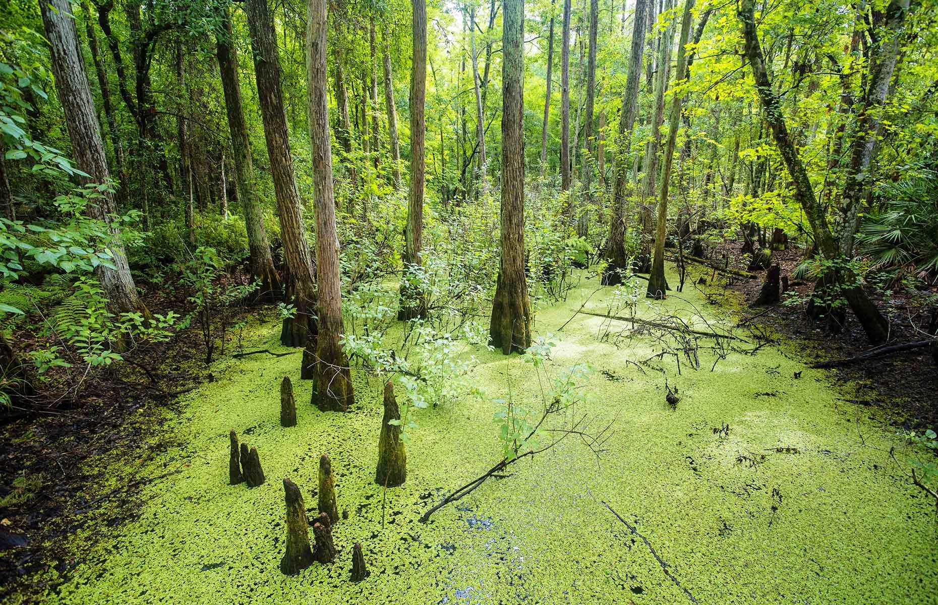 America's Most Beautiful Wildernesses Where You Can Connect With Nature