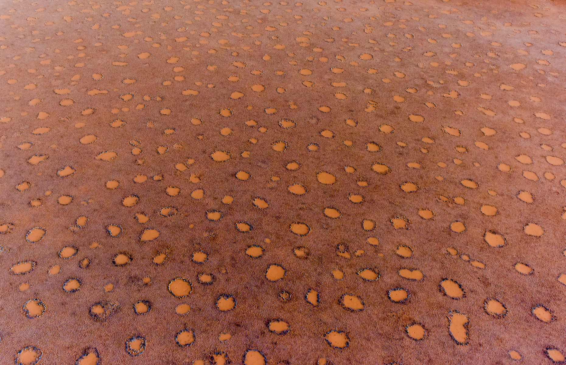<p>Seen from above, the circular markings on this grassy desert in Namibia look like a vast sheet of polka dots. For hundreds of years, researchers have been unable to determine the cause of the fairy circles, which vary from 10-65 feet (3-20m) in diameter and extend across hundreds of miles. Local folklore states they’re the footprints of gods or that they were created by the breath of an underground dragon. But science has struggled to find a conclusive answer.</p>