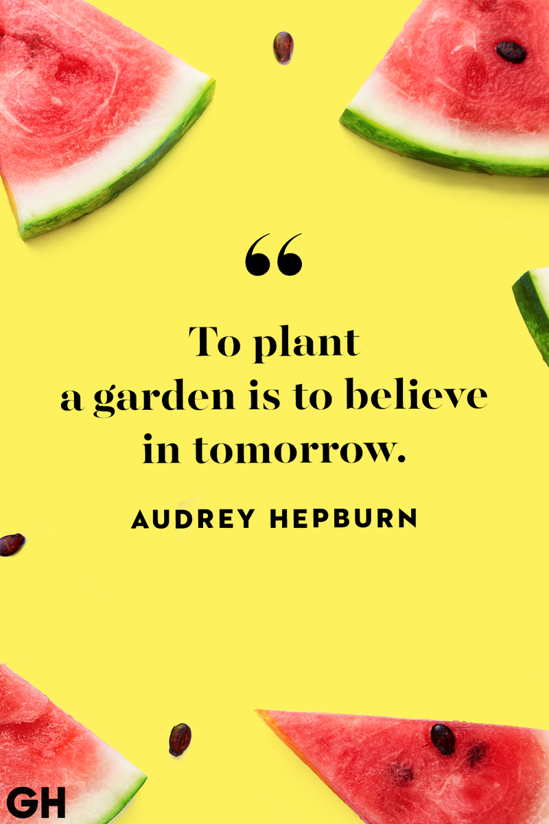<p>To plant a garden is to believe in tomorrow.</p>