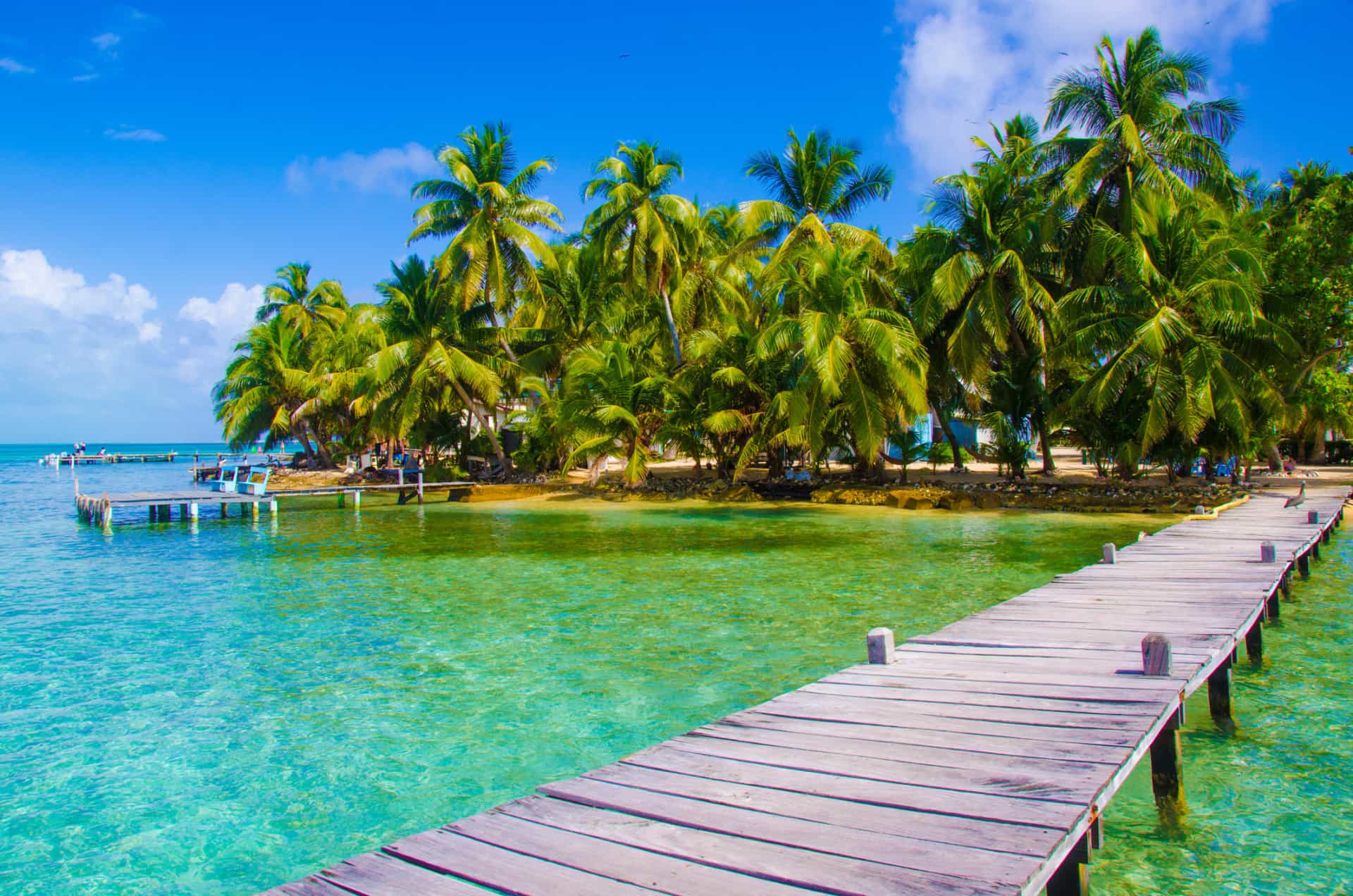 Nel 2005, DiCaprio ha acquistato un'isola situata al largo della costa del Belize per 1,75 milioni di dollari. Prevede di utilizzarla per costruire un "eco-resort" chiamato Blackadore Caye, che sarà completamente alimentato da energia rinnovabile e progettato per aumentare la salute biologica delle specie sull'isola e nelle acque circostanti.