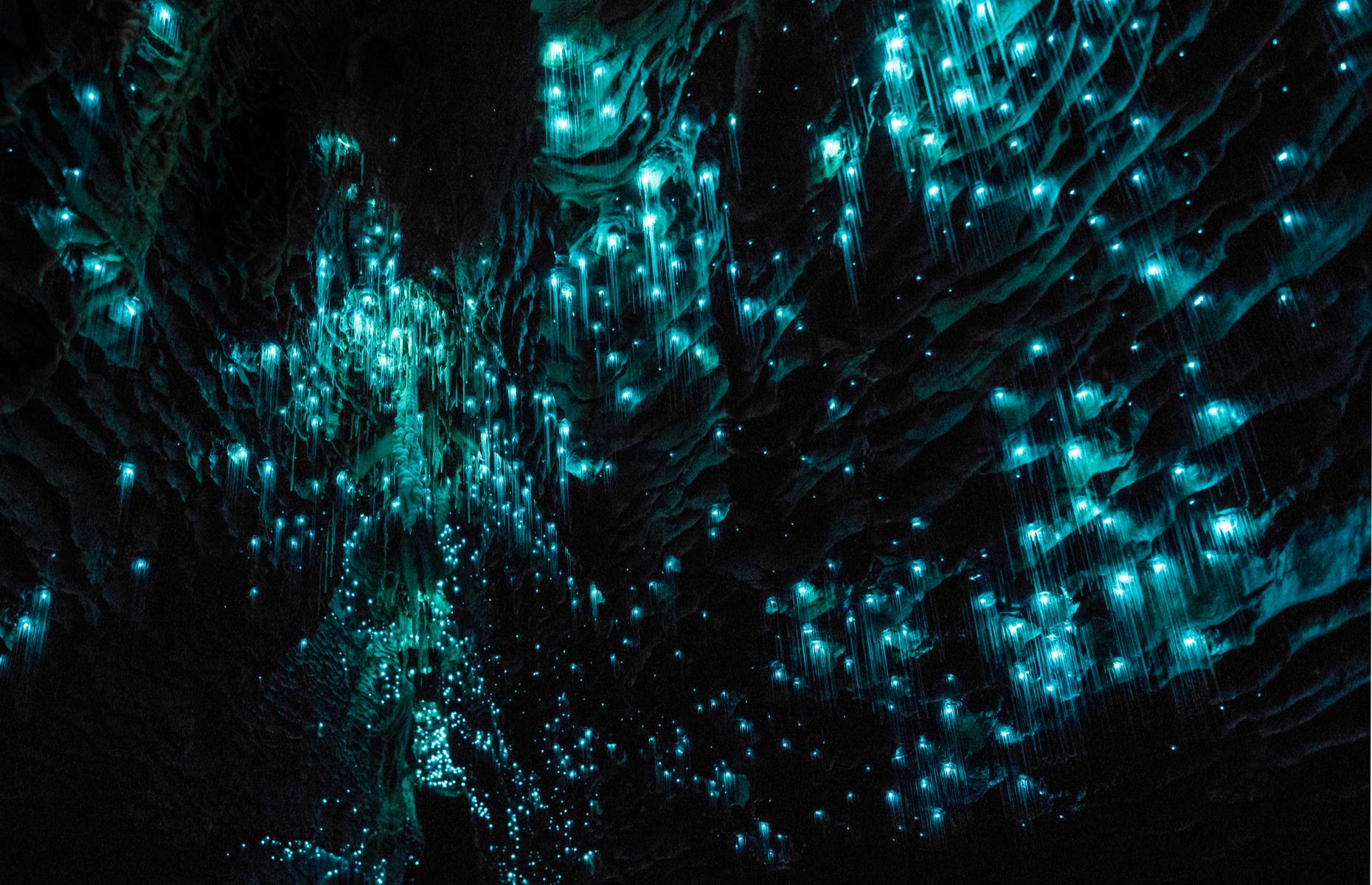 <p>The Waitomo region on the North Island has plenty of limestone caves to explore and a boat ride through the dimly lit <a href="https://www.waitomo.com/experiences/waitomo-glowworm-caves">Waitomo Glowworm Caves</a> is unmissable. Gliding along in silence with the cavern lit by what looks like thousands of stars is a magical experience.</p>  <p><strong><a href="https://www.loveexploring.com/galleries/74880/the-worlds-most-incredible-caves-caverns?page=1">The world's most beautiful caverns and caves</a></strong> </p>