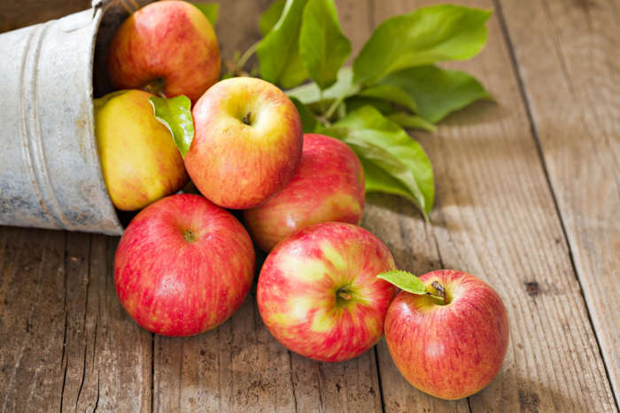 10 de 30 Fotos na Galeria: As maçãs contêm pectina e outras substâncias que ajudam a limpar o fígado e o sistema digestivo.