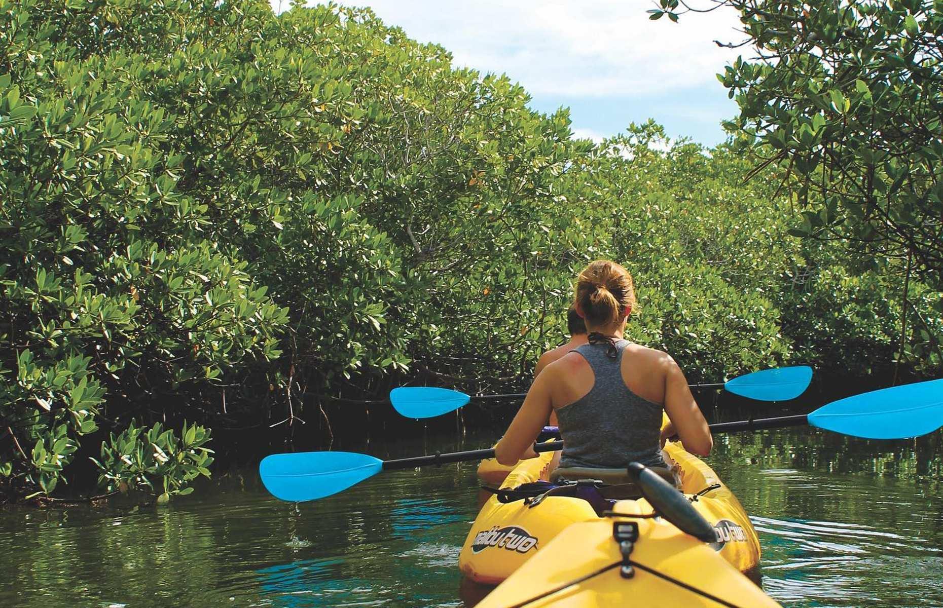 <p>The otherworldly emerald waters of Key West’s mangrove islands can be explored in a variety of ways. But whether you choose stand-up paddleboarding, snorkeling, sailing or kayaking, keep things green by booking with Key West Eco Tours. A family-run provider with a passion for preserving the local ecosystem, the company gets all guests to participate in a five-minute clean-up during their visit, while it also runs several clean-up days throughout the year and hires marine science students at Florida Keys College to help create its unique tours. </p>  <p><a href="https://www.loveexploring.com/galleries/109043/ranked-floridas-most-beautiful-small-towns-and-cities"><strong>Now check out Florida's prettiest small towns you must visit</strong></a></p>
