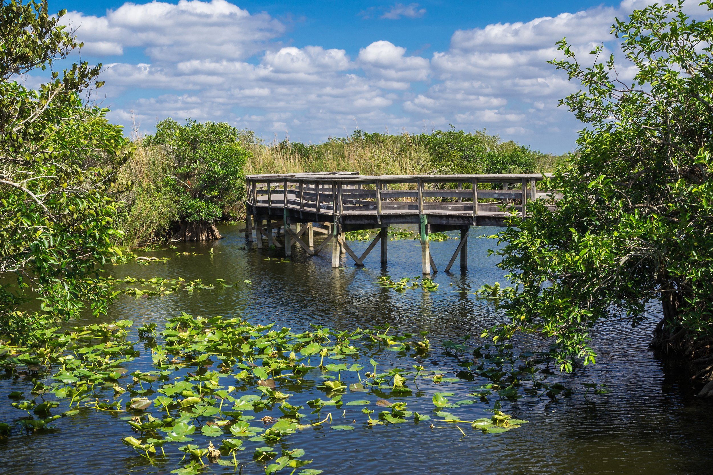 <p>The third-largest national park in the continental United States, the <a href="https://www.nps.gov/ever/index.htm">Everglades</a> are home to Florida panthers, manatees, hundreds of different types of birds and fish, and, of course, alligators. Many areas of the park are accessible only by boat. Visitors can bring their own, rent one, or take a boat tour. </p><p><b>Related:</b> <a href="https://blog.cheapism.com/winter-national-park-trips/">Best National Parks to Visit in Winter</a></p>