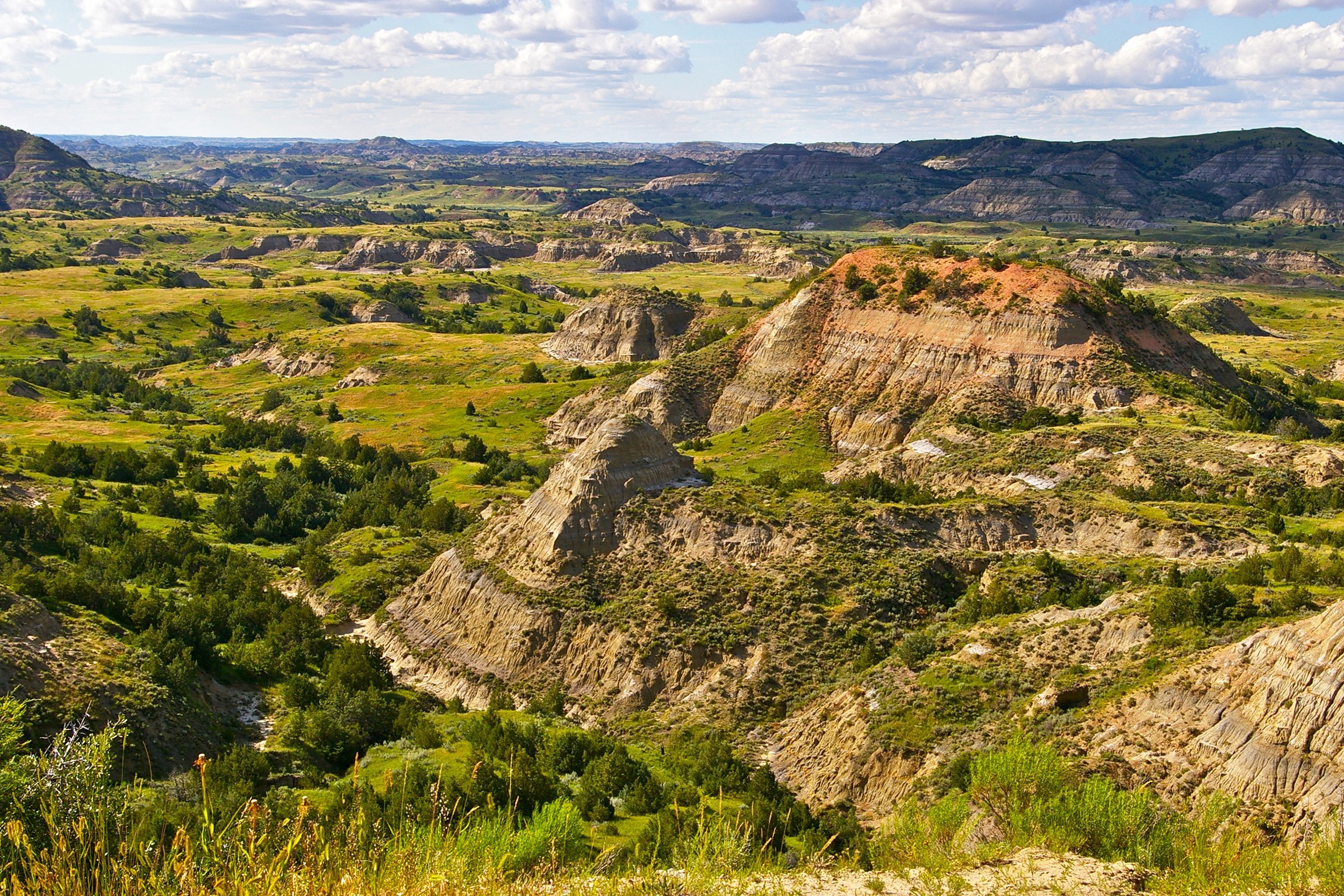 <p><a href="https://www.nps.gov/thro/index.htm">Theodore Roosevelt National Park</a> is home to Maltese Cross Cabin, which Theodore Roosevelt had built shortly after his first excursion to the Badlands in the 1880s. Ranger-led tours are available during summer. In addition to the cabin, visitors can explore hiking trails, go horseback riding, and observe wildlife, including bison, badgers, elk, feral horses, golden eagles, and wild turkeys.</p>