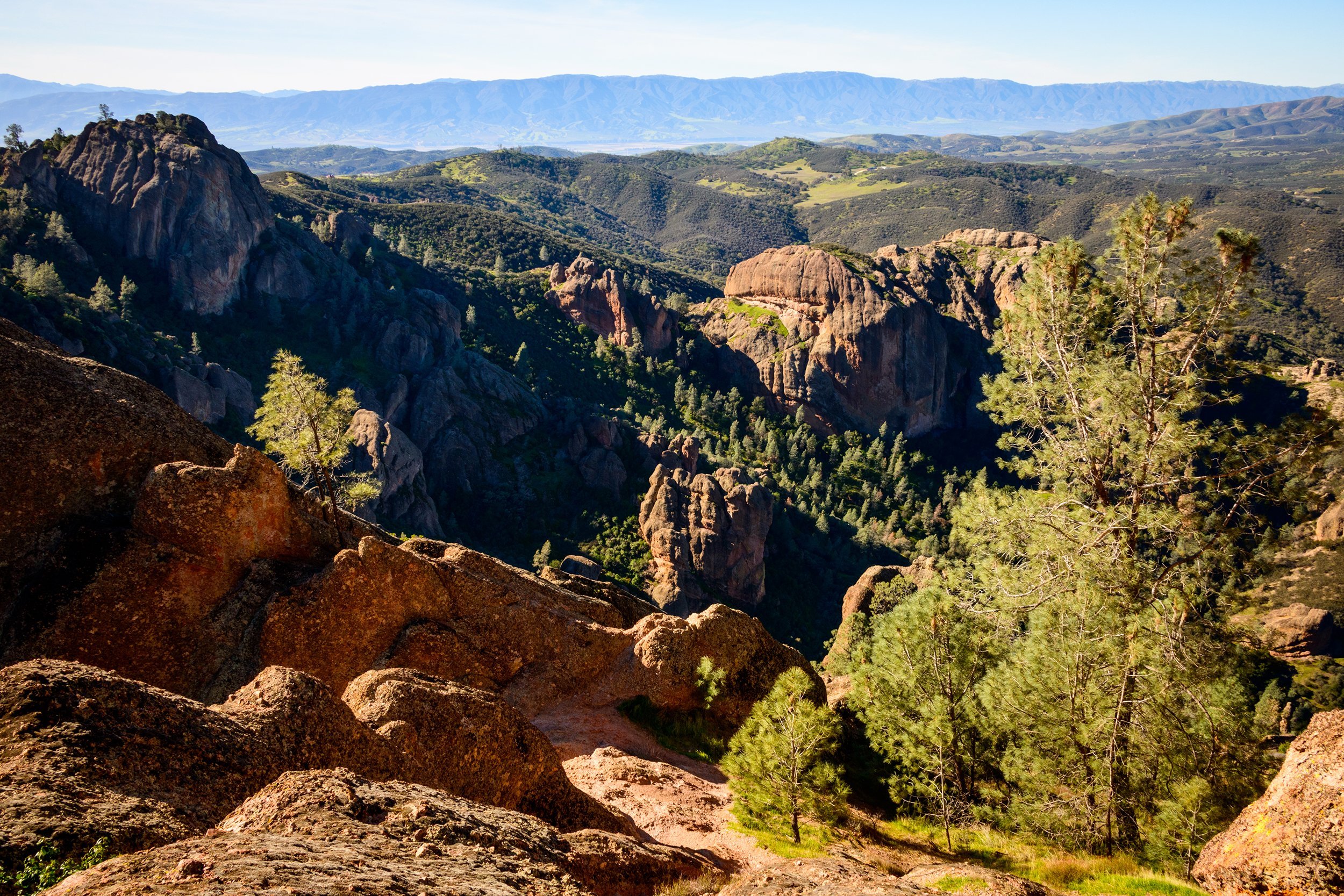 <p>California has some of the country's best-known national parks, including Yosemite and Death Valley. But take a look at the latest addition: <a href="https://www.nps.gov/pinn/index.htm">Pinnacles National Park</a>, established in 2013. Visitors can enjoy a hike through caves up to a reservoir or try to spot the rare California condor, which has a nearly 10-foot wingspan. </p><p><b>Related:</b> <a href="https://blog.cheapism.com/wild-animal-parks/">Places to Safely See Wild Animals Up Close</a></p>