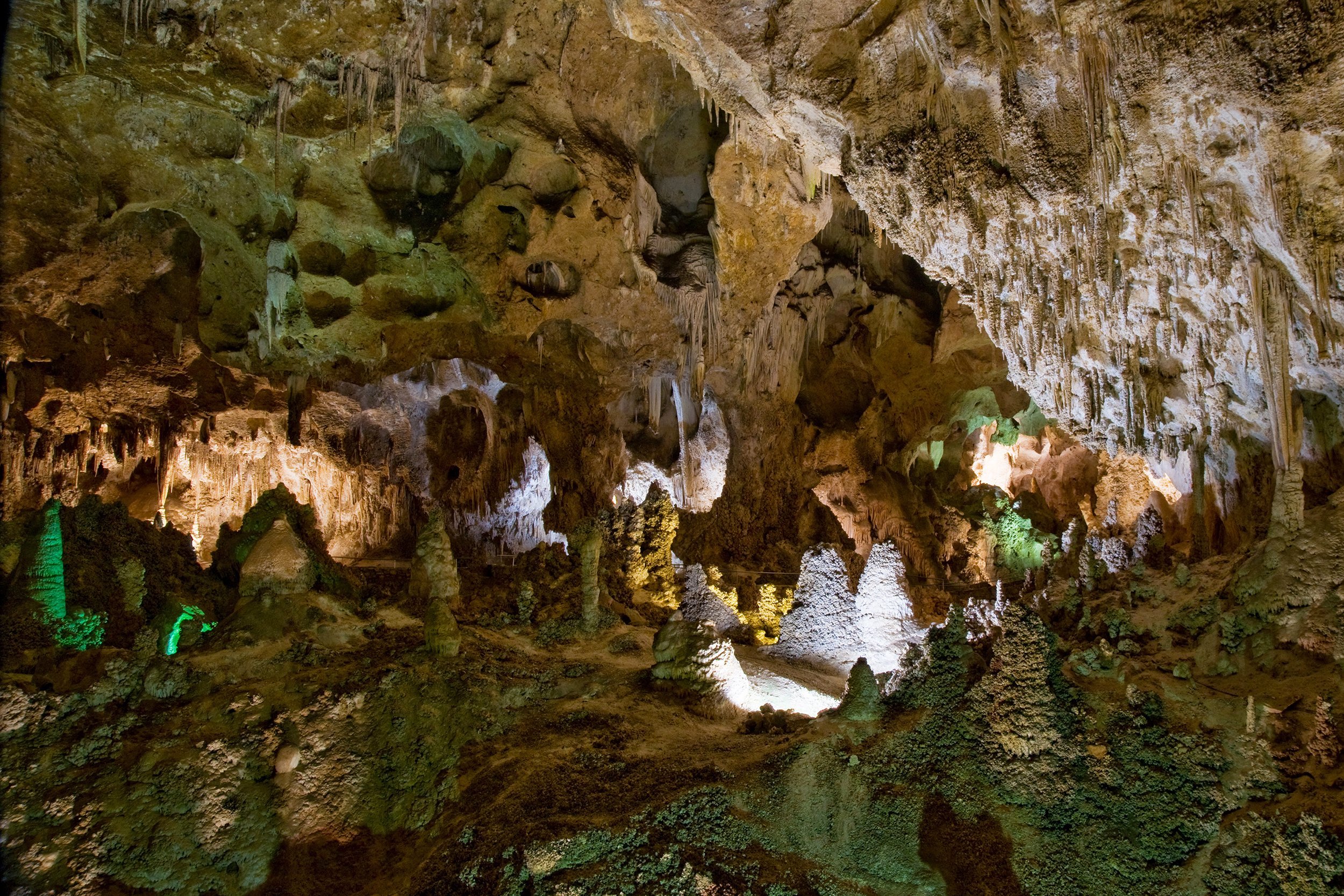 <p>Renowned for their beauty and number, the caves at <a href="https://www.nps.gov/cave/index.htm">Carlsbad Caverns</a> offer insight into the lives of bats. Admission is $15 for adults and free for kids 15 and under, free). From April to mid-October, visitors can watch thousands of bats leave the cave at dusk to find food. August and September are often the best time to visit, as newborn bats and migrating bats join the crowd. </p><p><b>Related:</b> <a href="https://blog.cheapism.com/road-trip-attractions/">77 Attractions to See While Driving Across the Country</a></p>