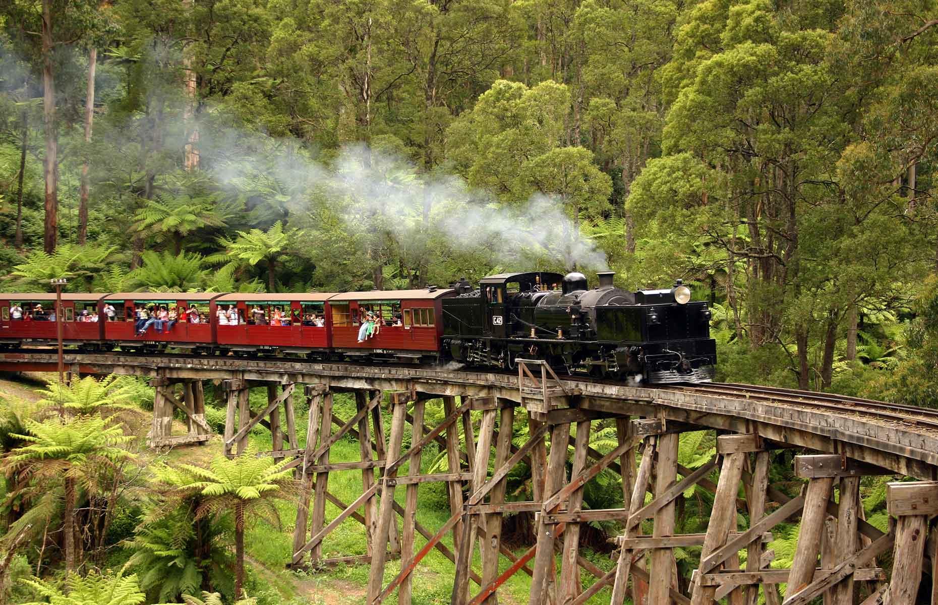<p>This century-old steam engine looks like it should be chugging through the highlands of Scotland. However, the Puffing Billy Railway travels through temperate rainforest between Belgrave and Lakeside, Menzies Creek and Gembrook. Sit on the carriage sills with your legs dangling over the side and take in towering Mountain Ash trees – then get your camera ready for when you go across the route's iconic Trestle Bridge.</p>  <p><a href="https://www.loveexploring.com/galleries/91216/australias-most-stunning-scenic-train-journeys?page=1"><strong>These are the most scenic train journeys in Australia</strong></a></p>