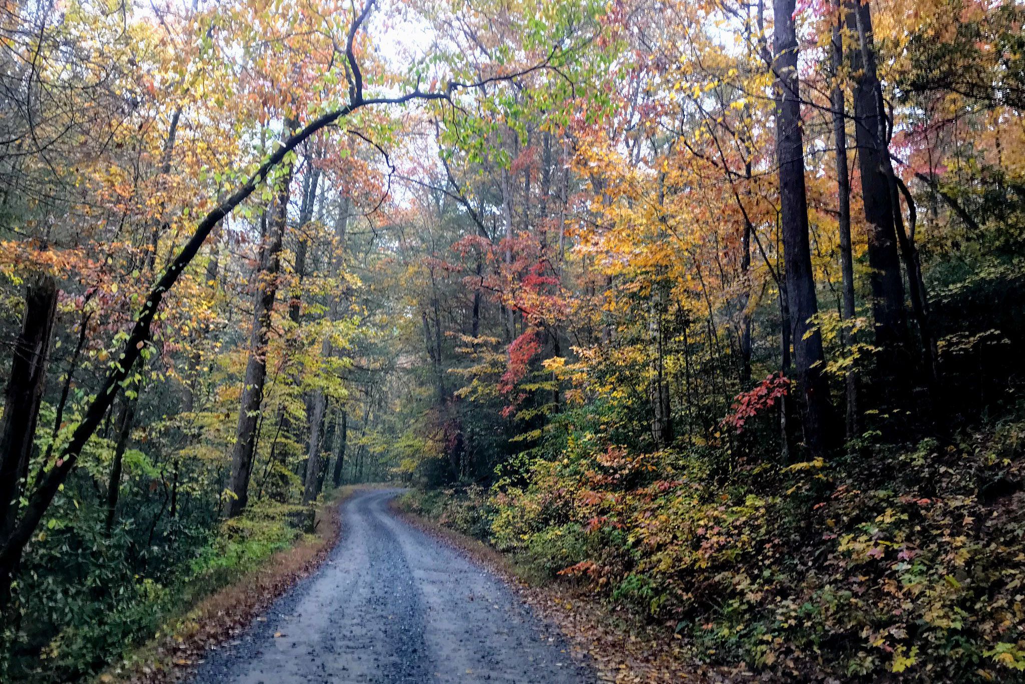 The Best Scenic Drive in Every State