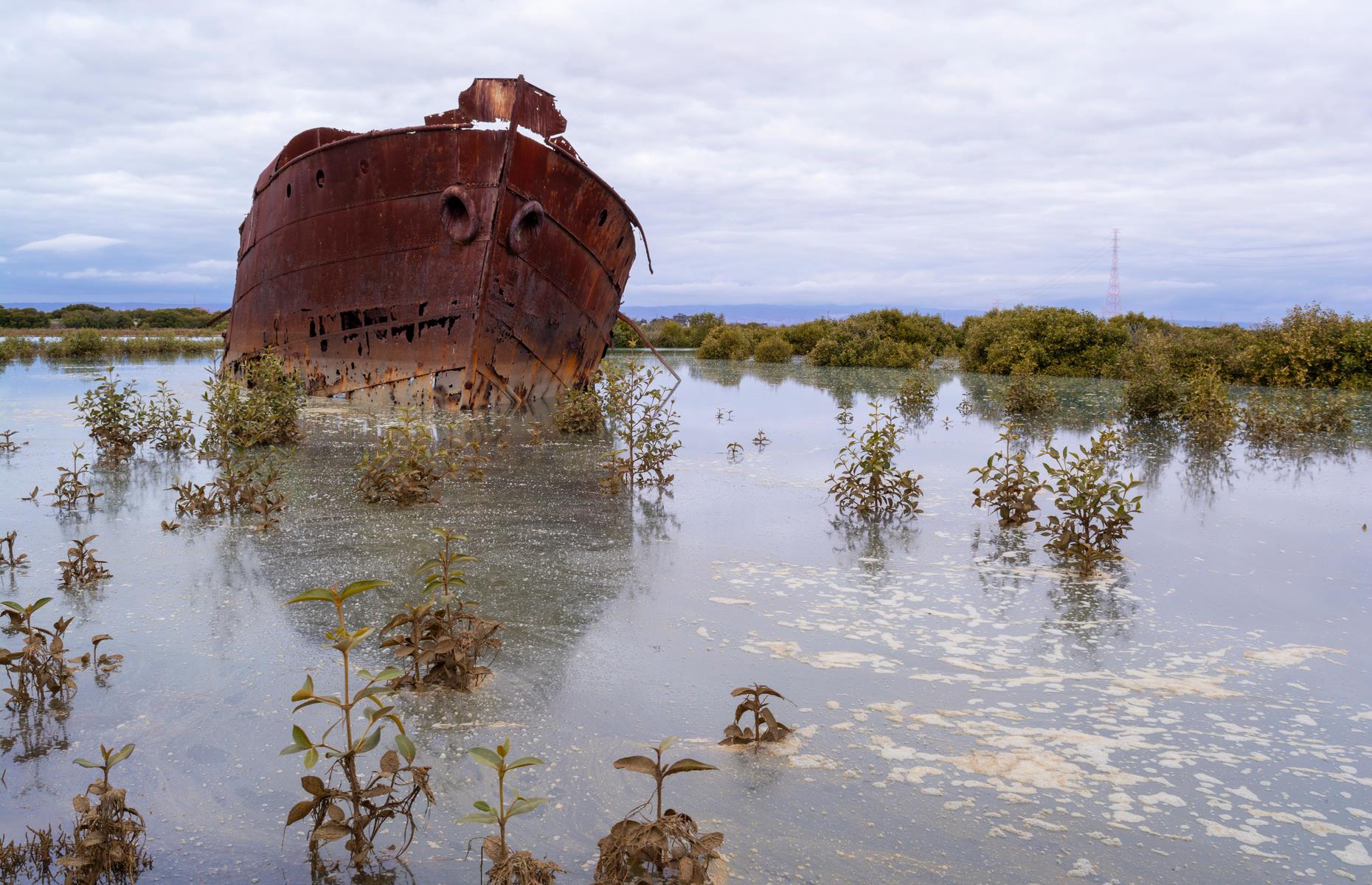 <p>Mangrove-dotted Mutton Cove Ships' Graveyard is another resting place whose wrecks are visible from land. Pictured here is the rusting Excelsior, peering from the backwaters of the Port River – it was a screw steamer built in 1897 and is now partially submerged in the marshland. It's one of 40 vessels left to rot.</p>